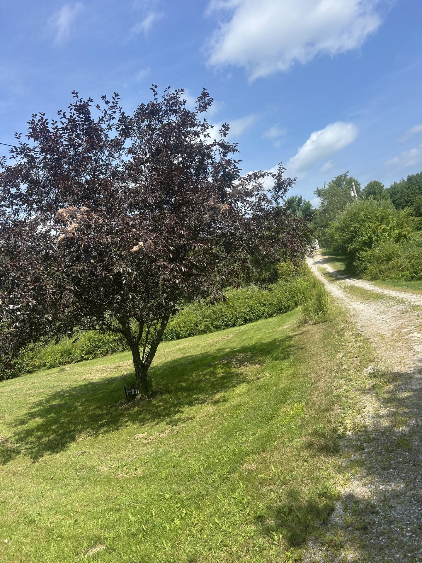 main property photo 49