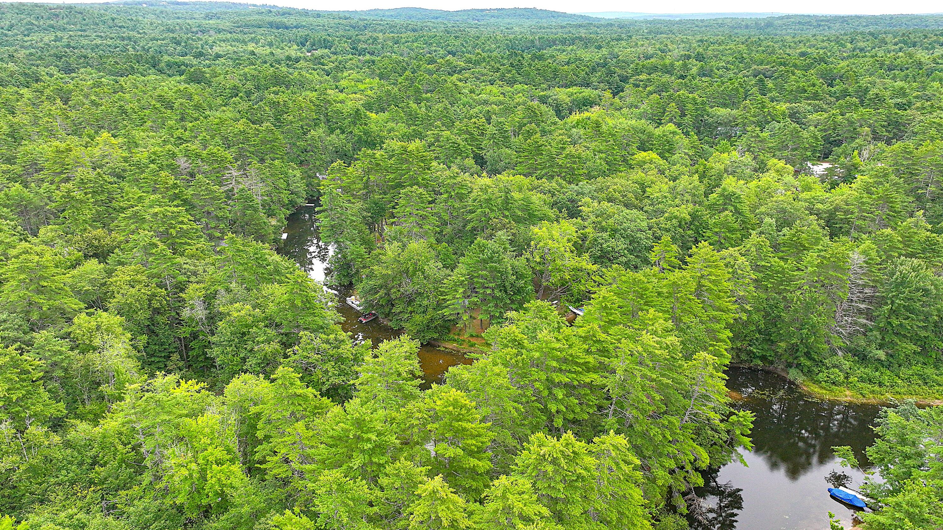 main property photo 67