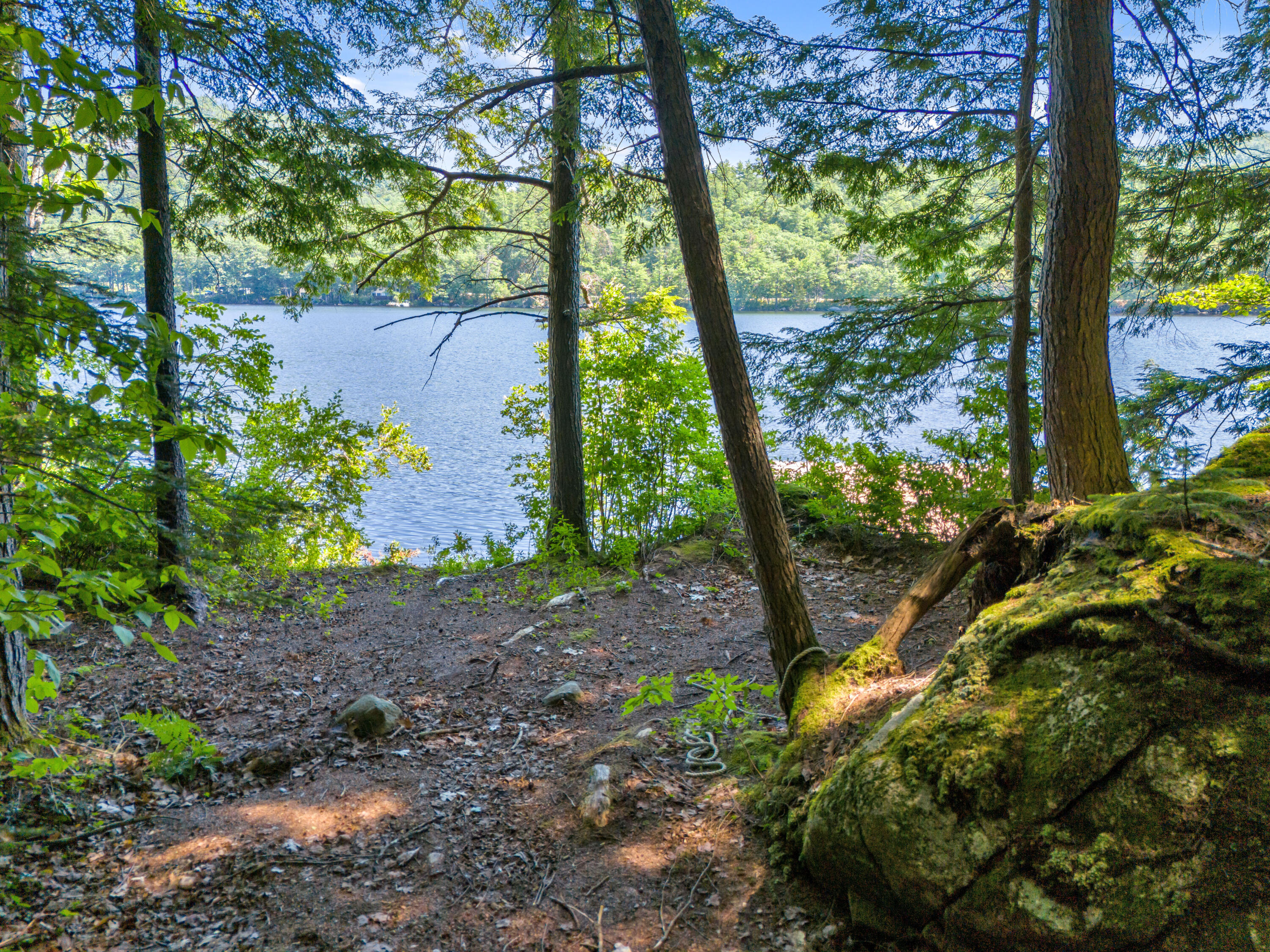 main property photo 79
