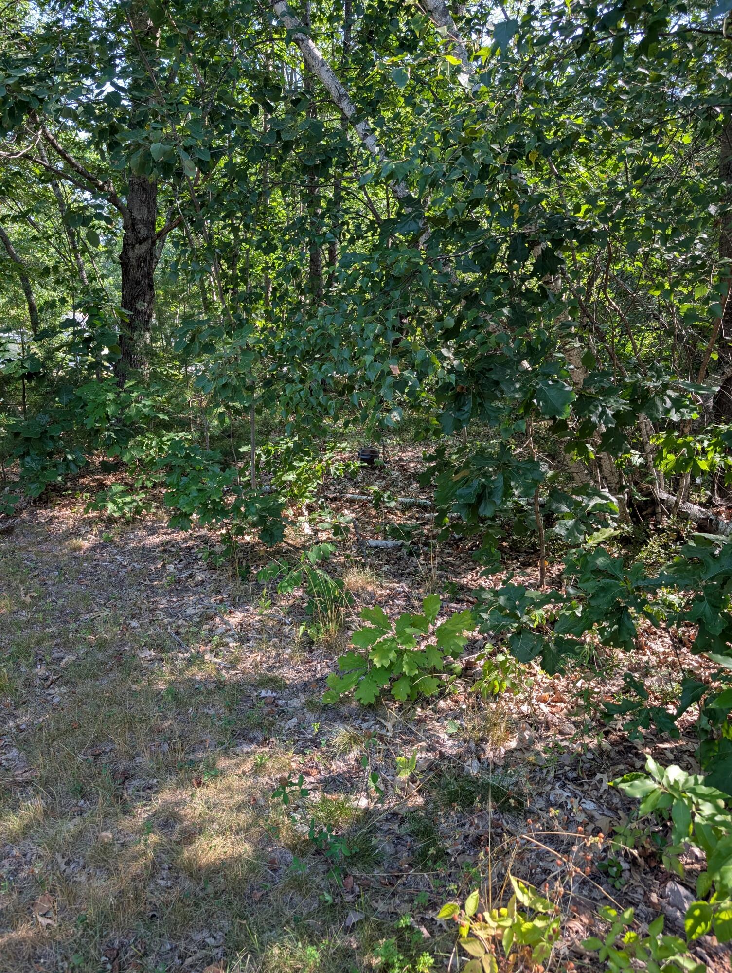 main property photo 7