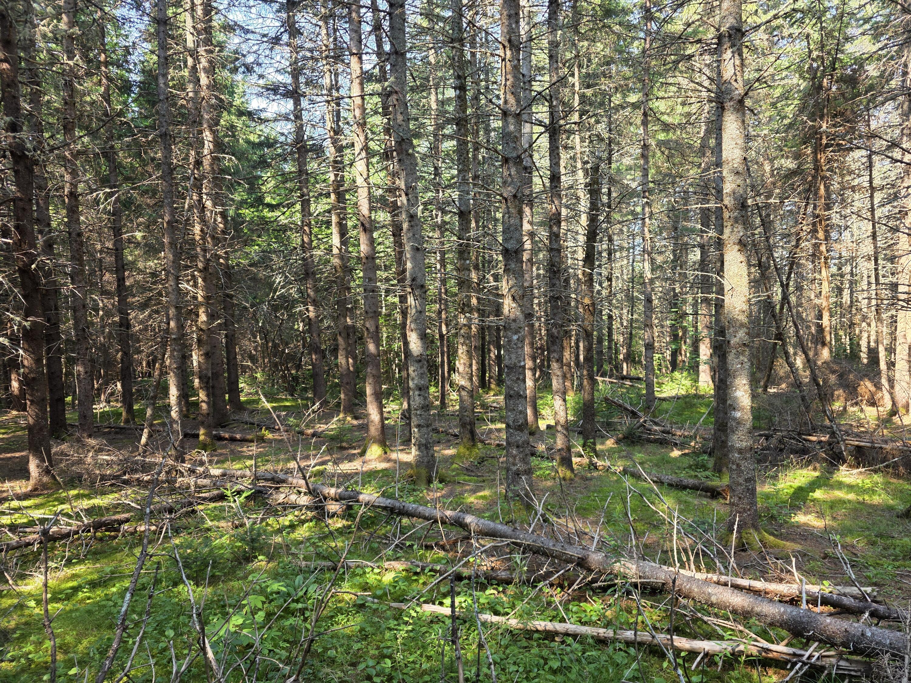 main property photo 38