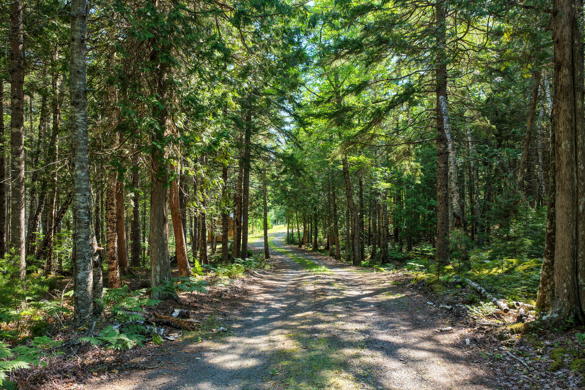 main property photo 34