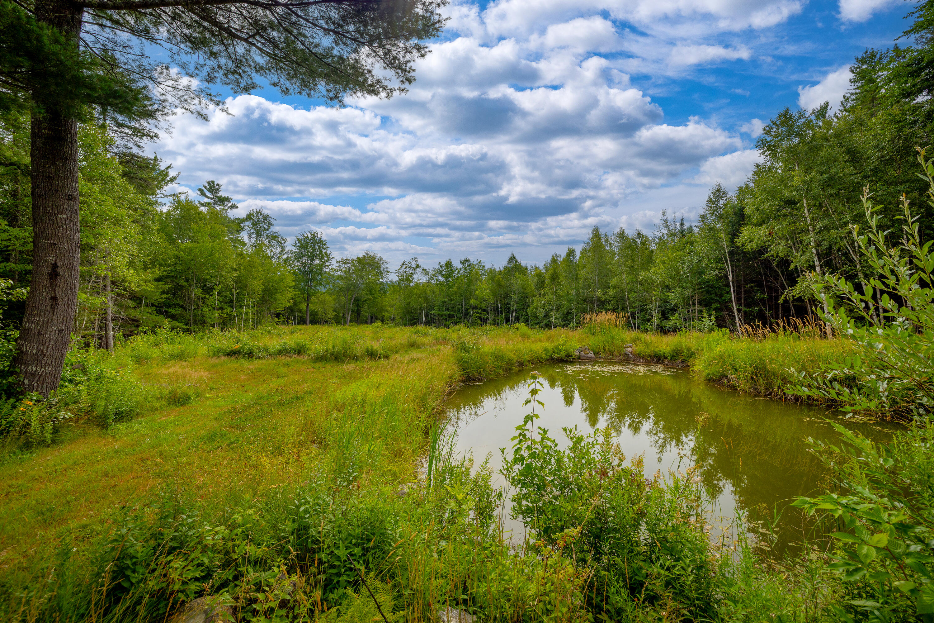 main property photo 80
