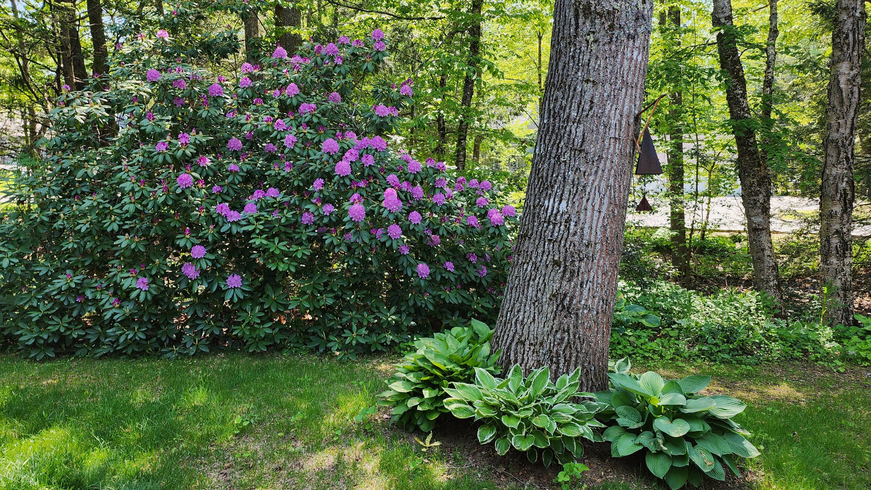 main property photo 64