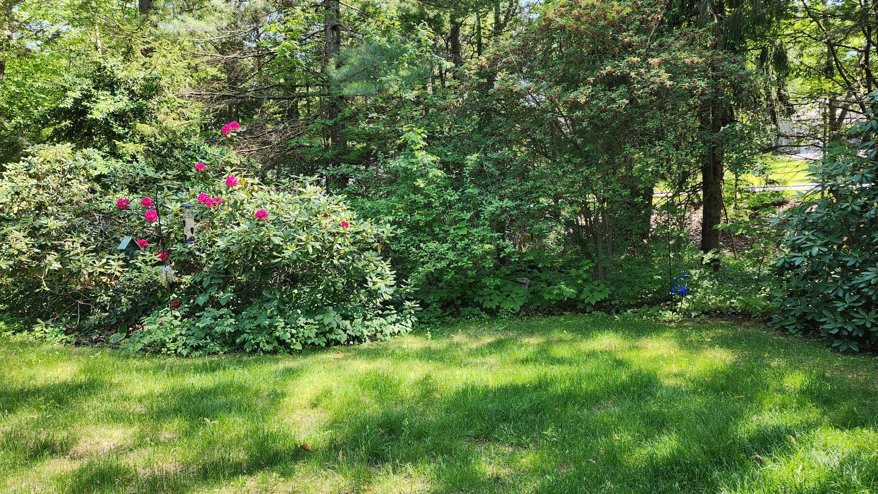 main property photo 65
