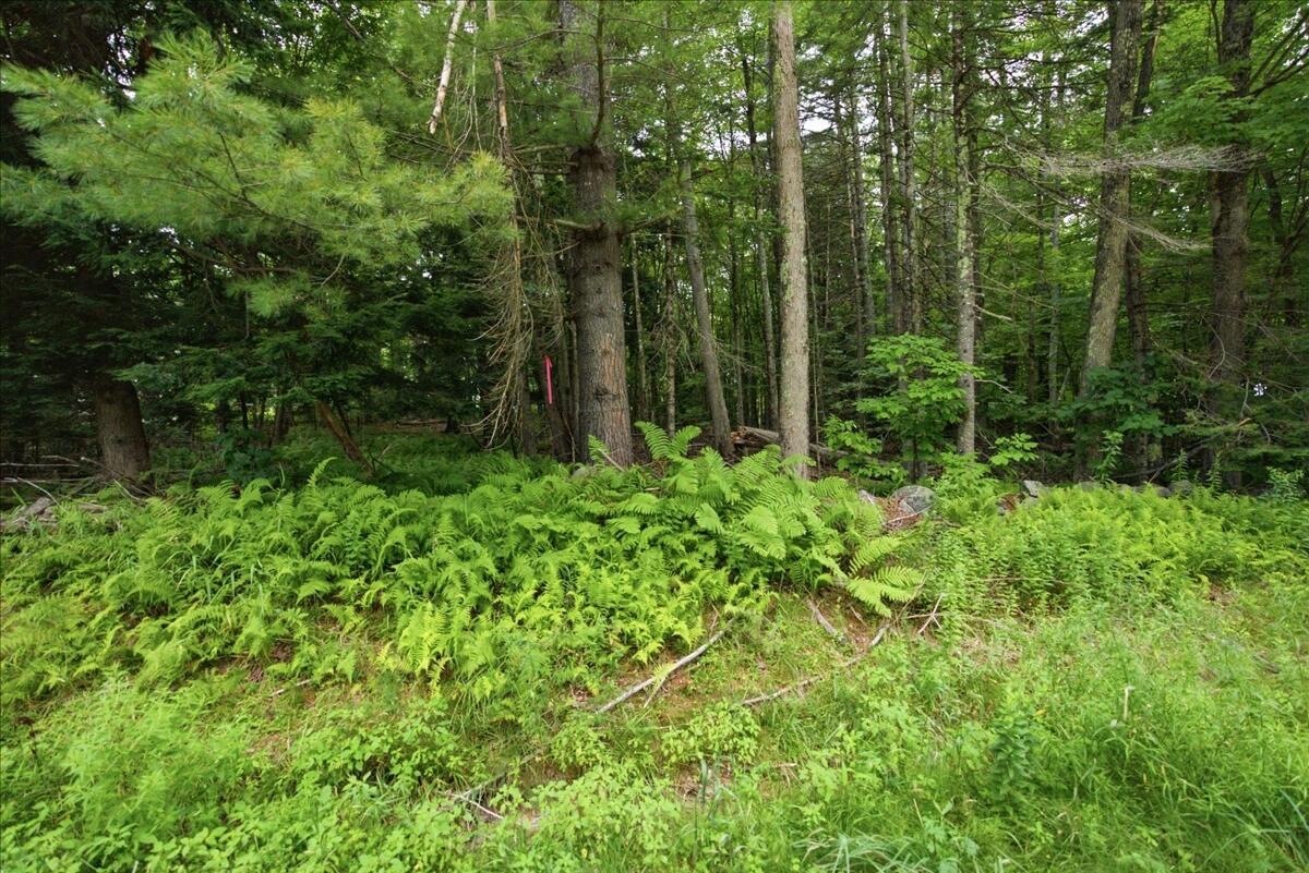main property photo 105