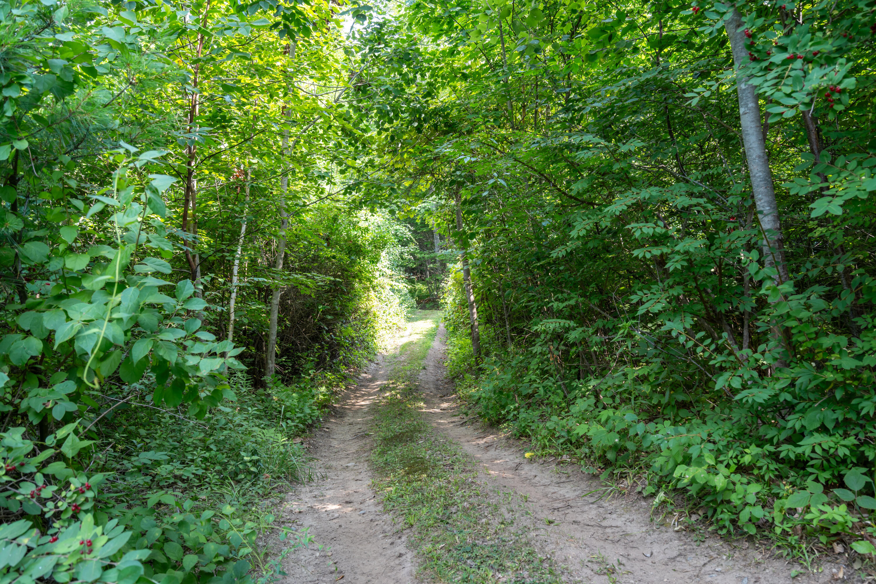 main property photo 49