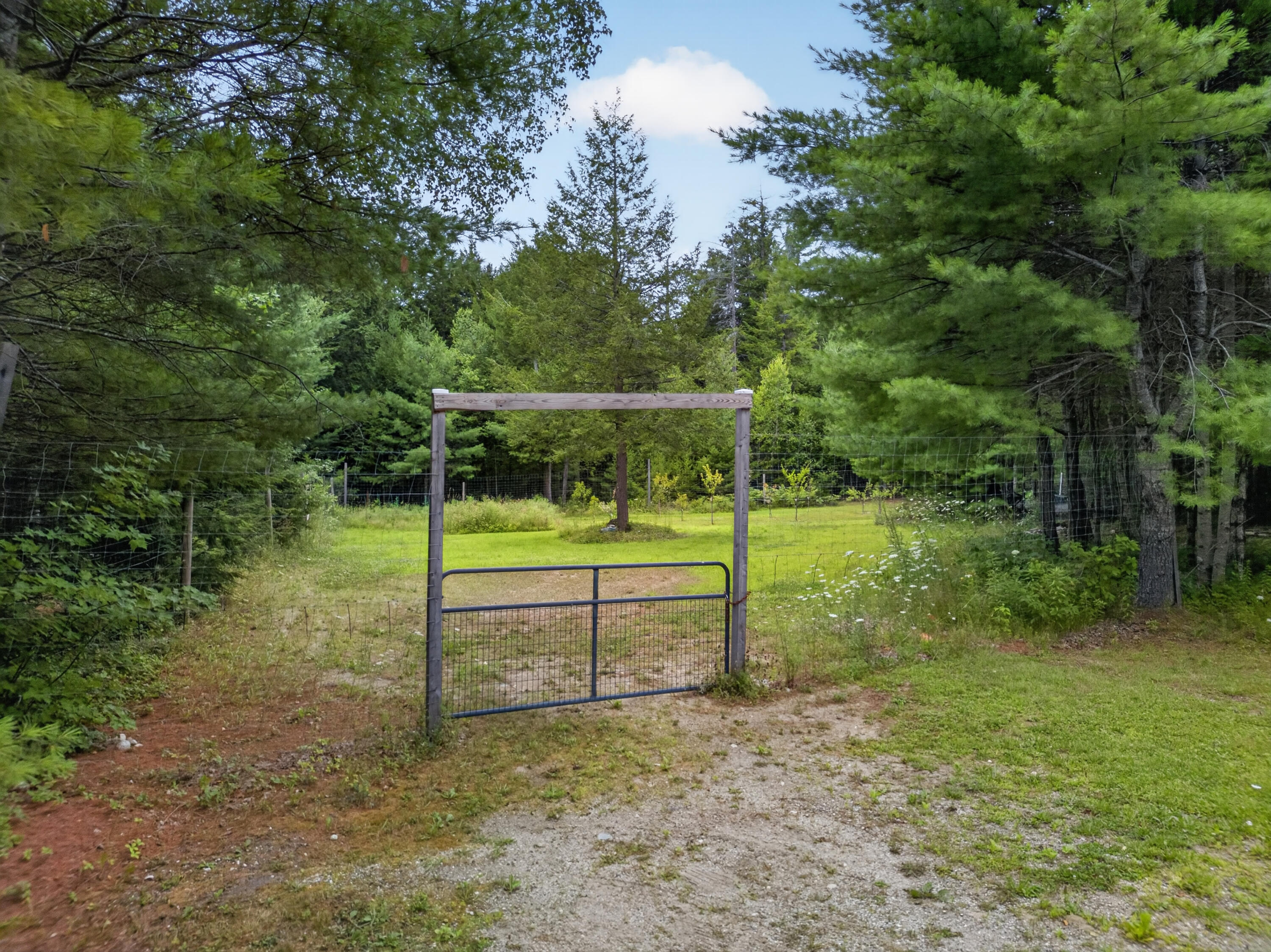 main property photo 71