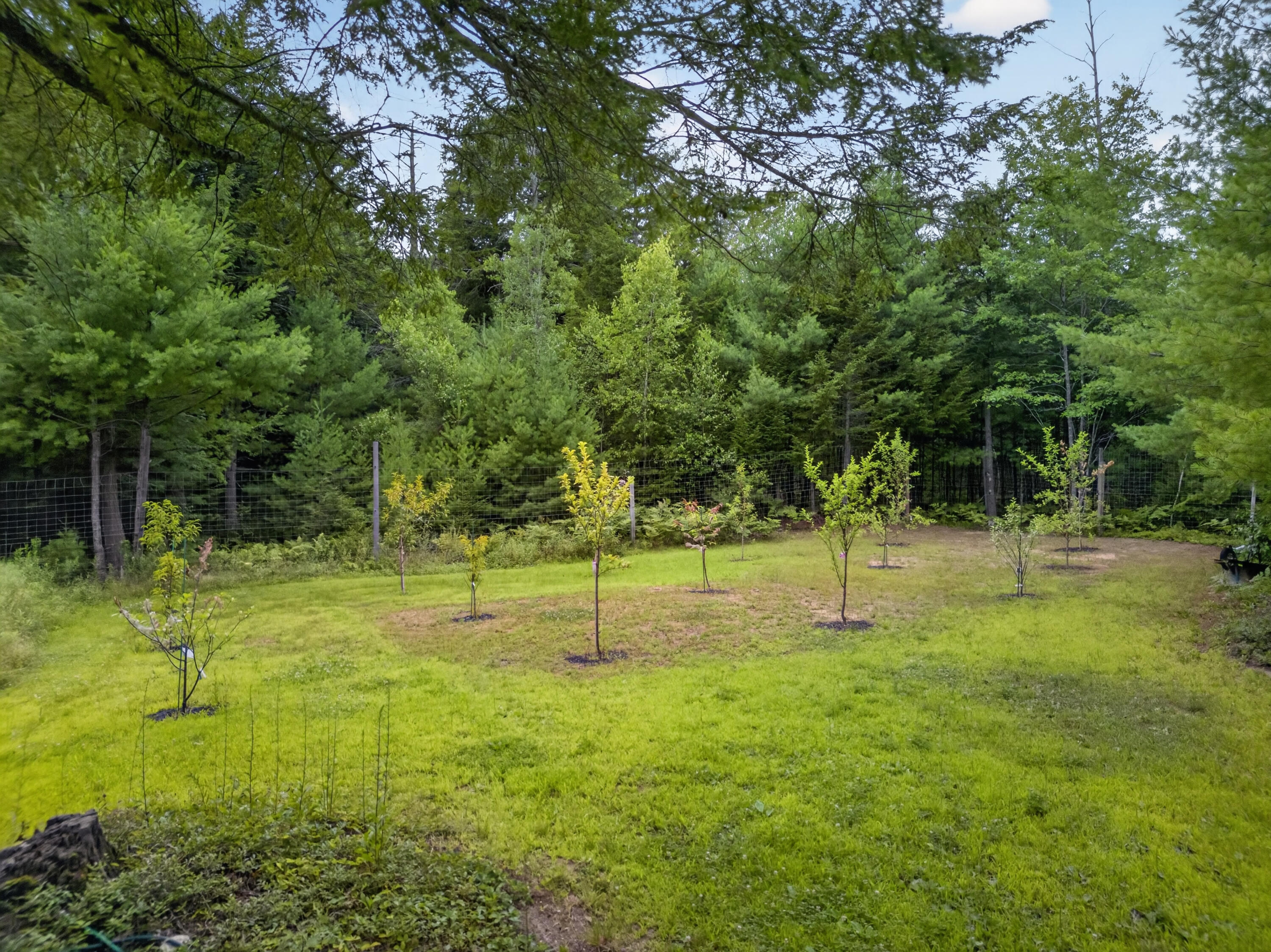 main property photo 73