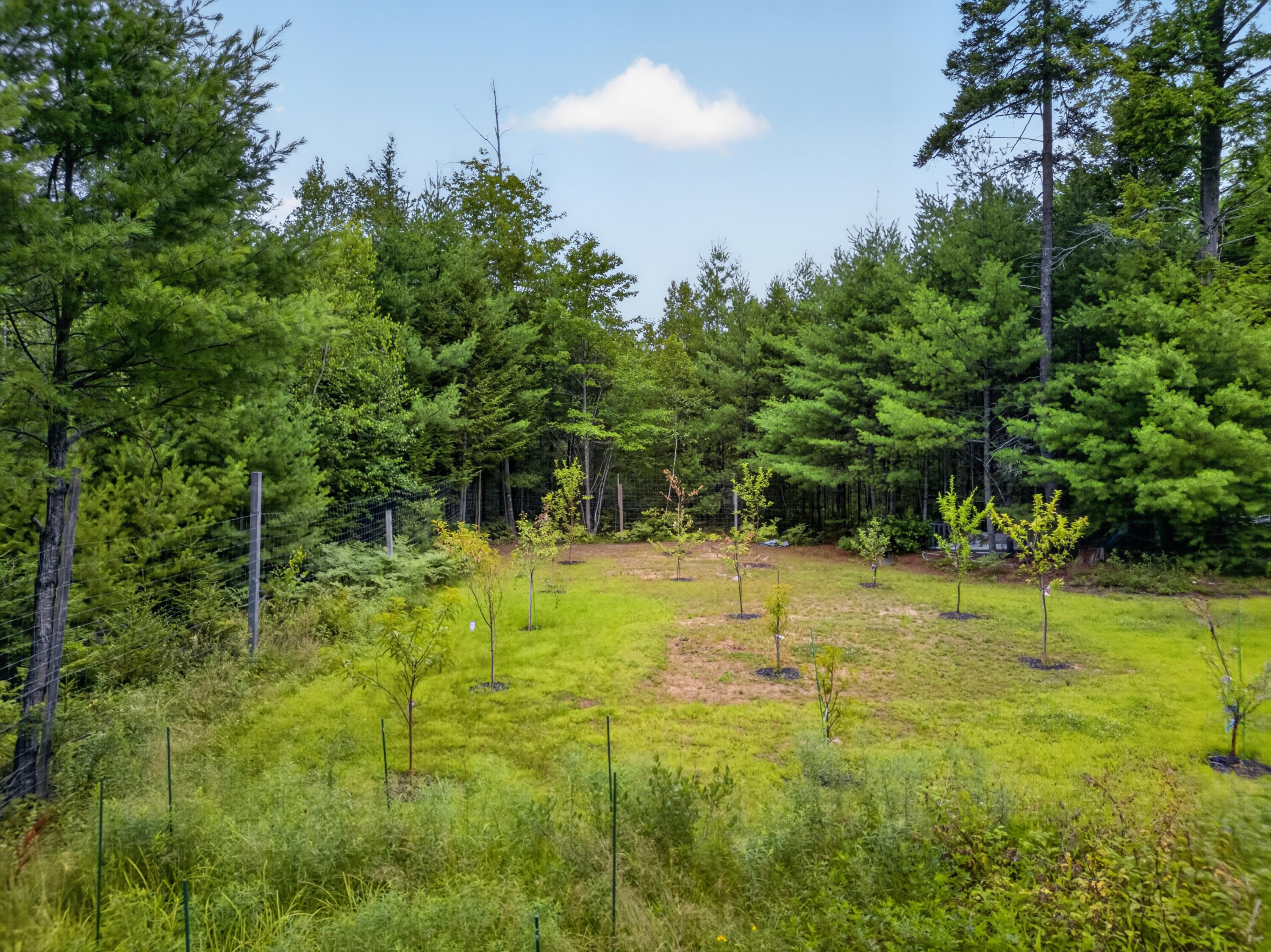 main property photo 74