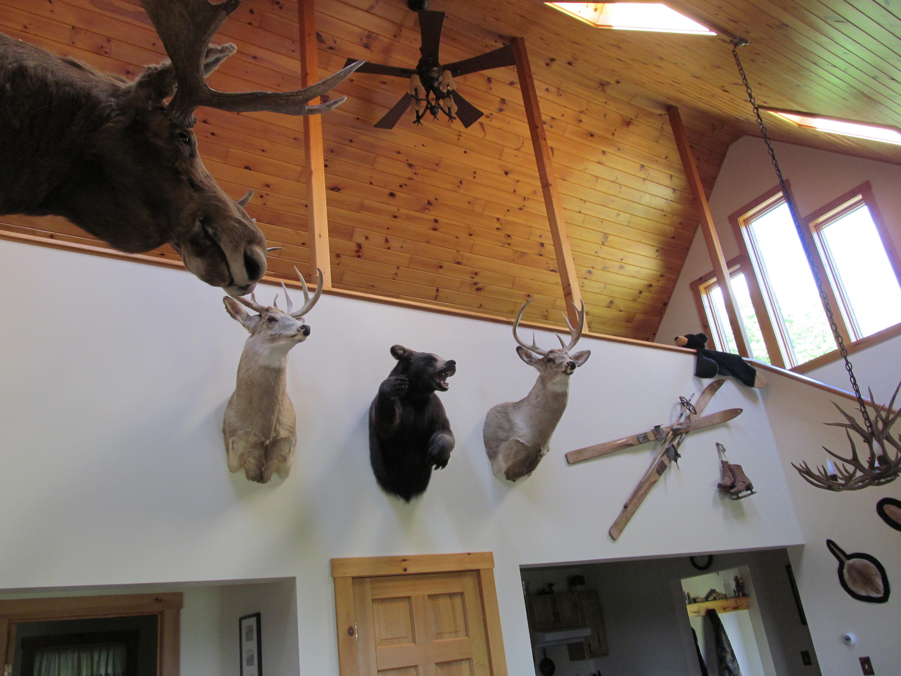 main property photo 47
