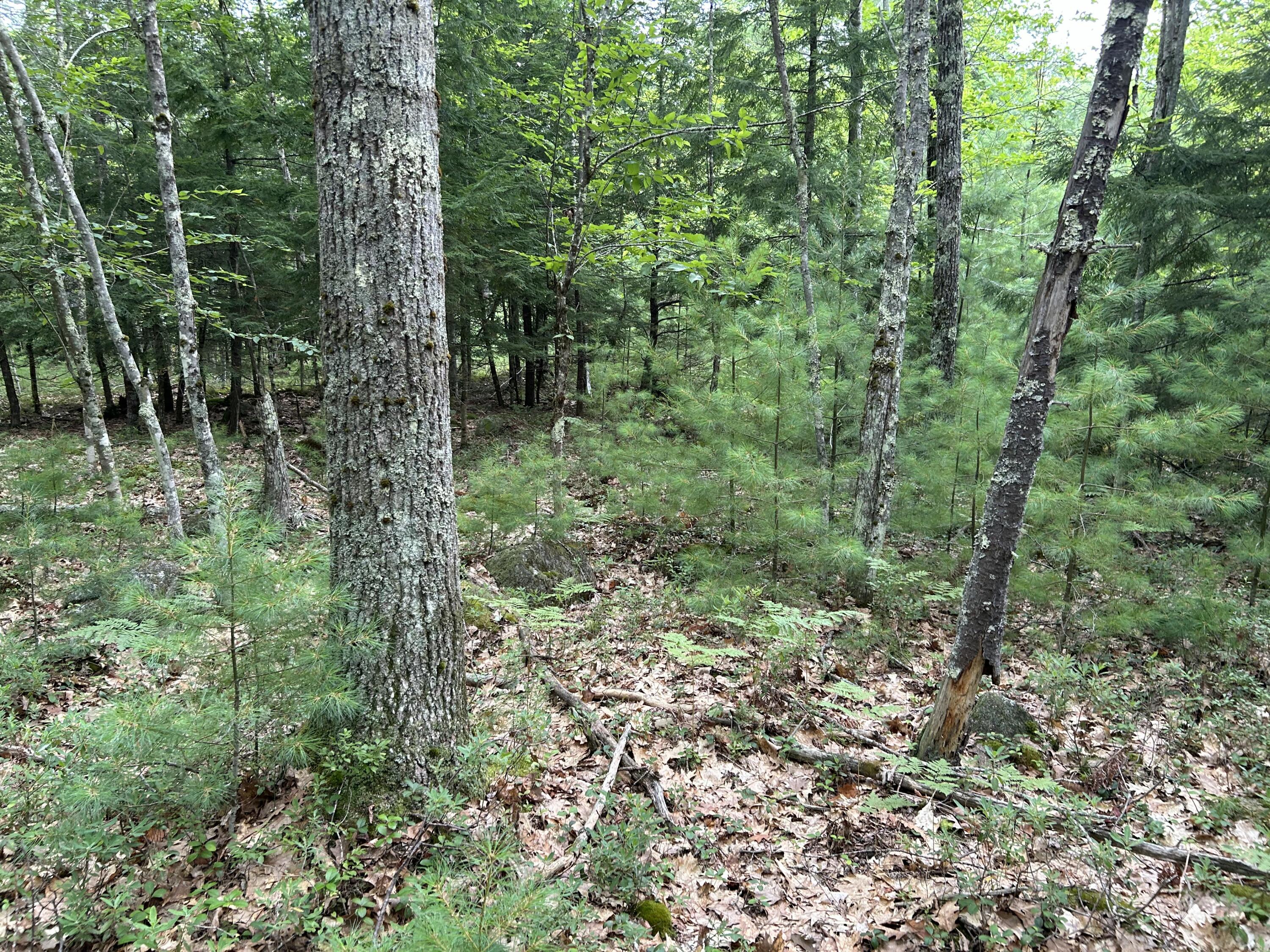 main property photo 11