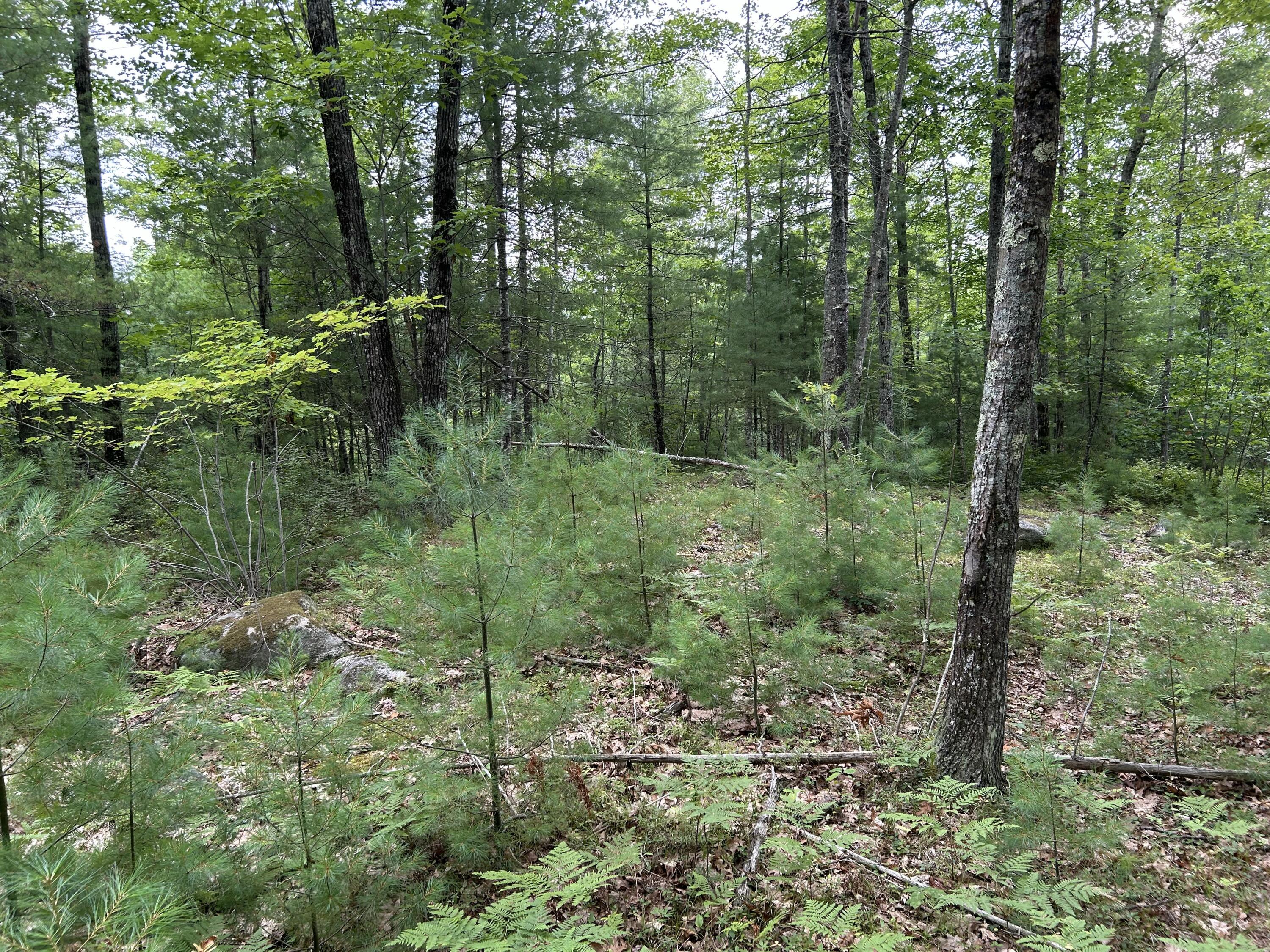 main property photo 13
