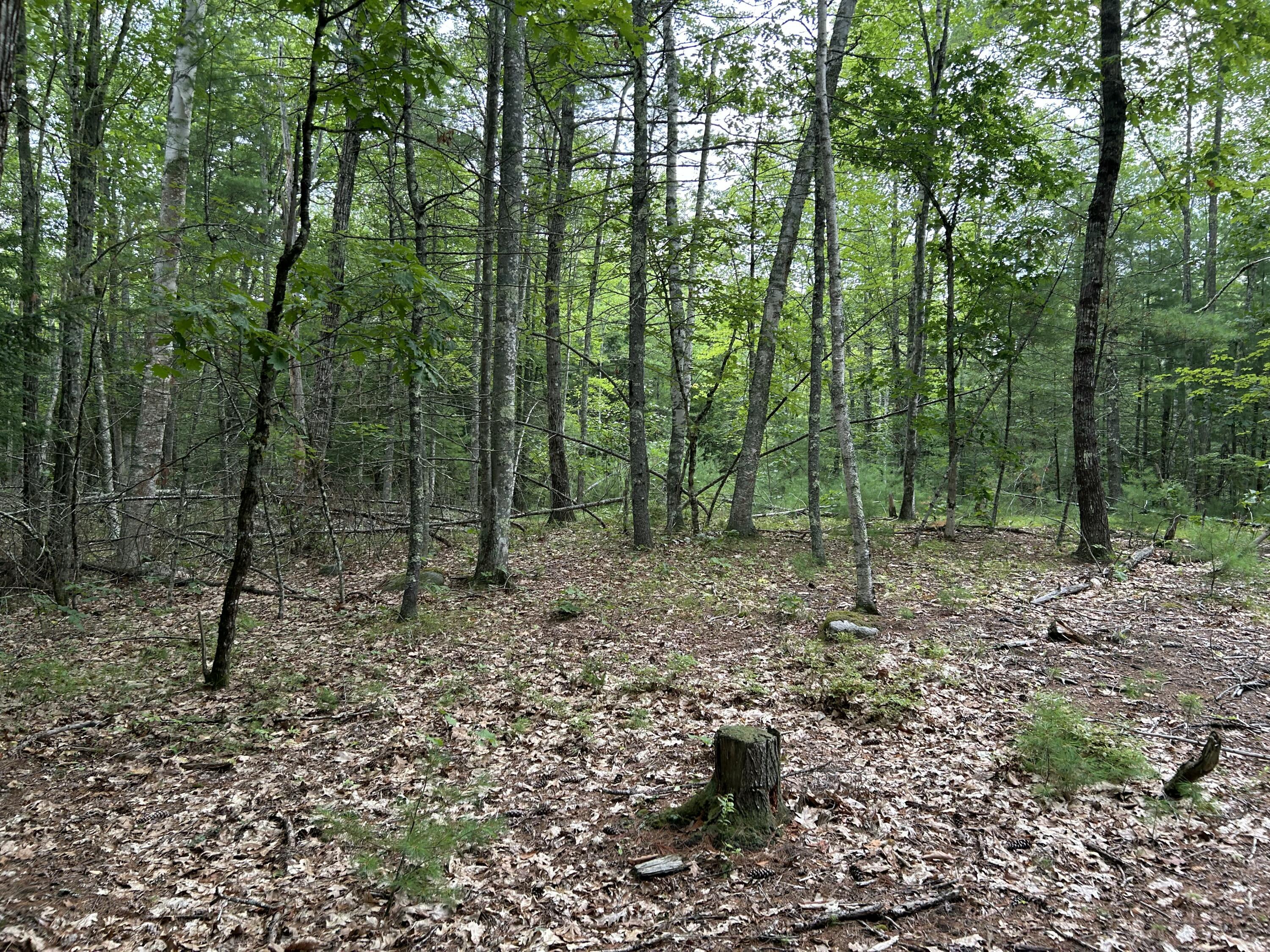 main property photo 14