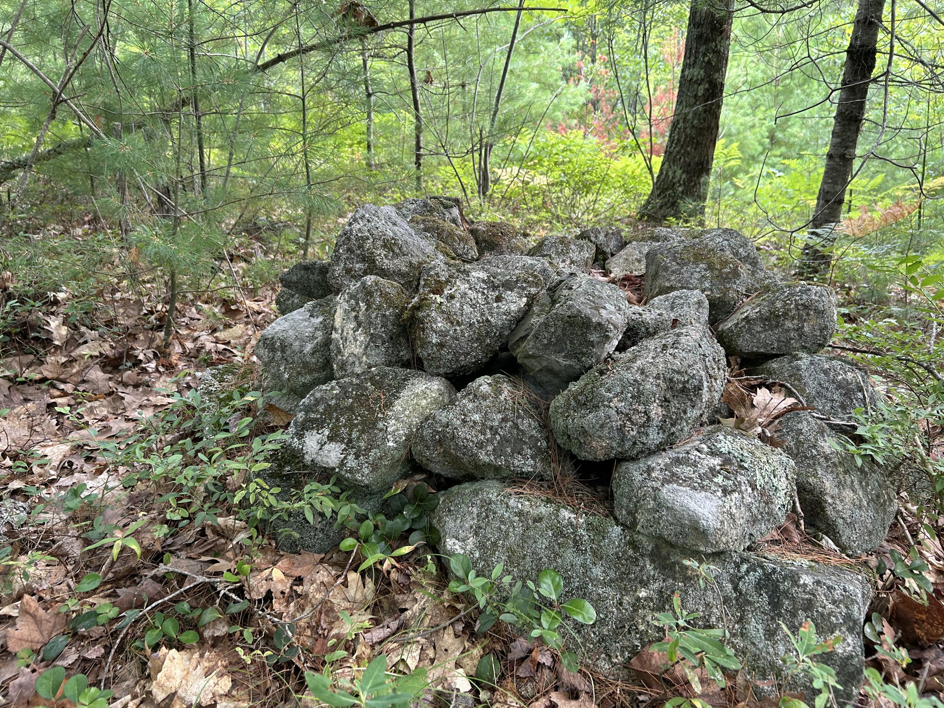 main property photo 26