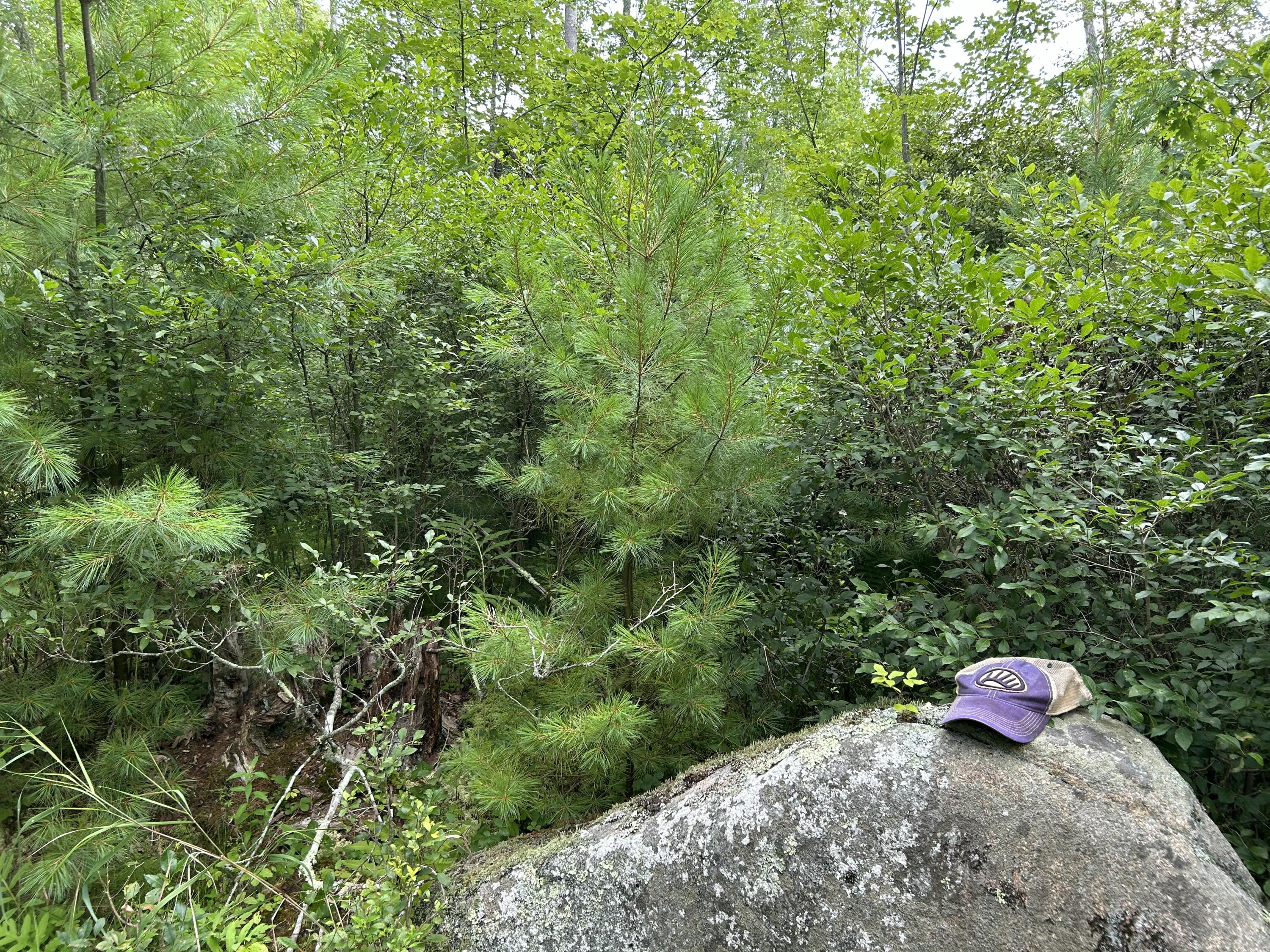 main property photo 33