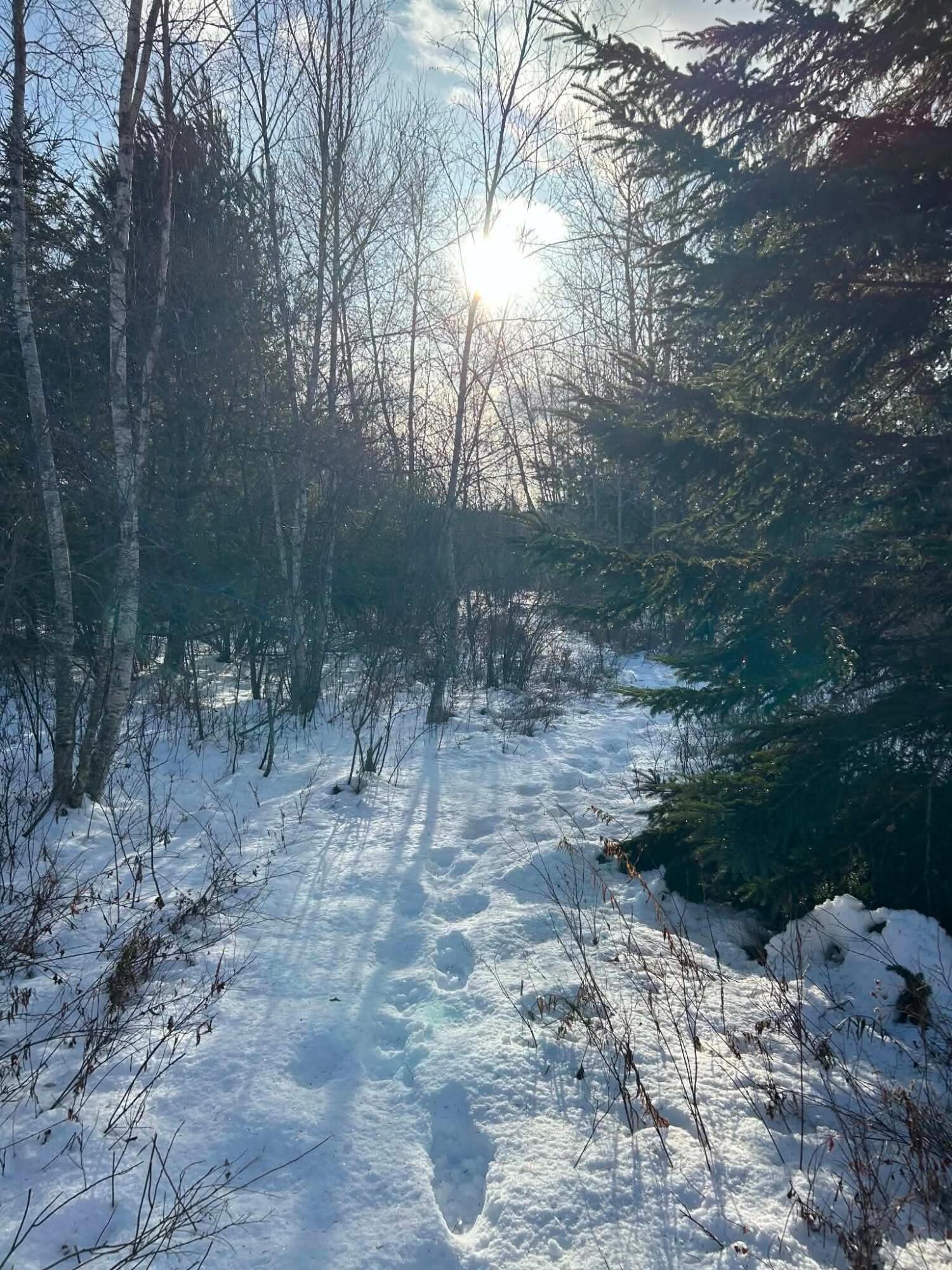 main property photo 50