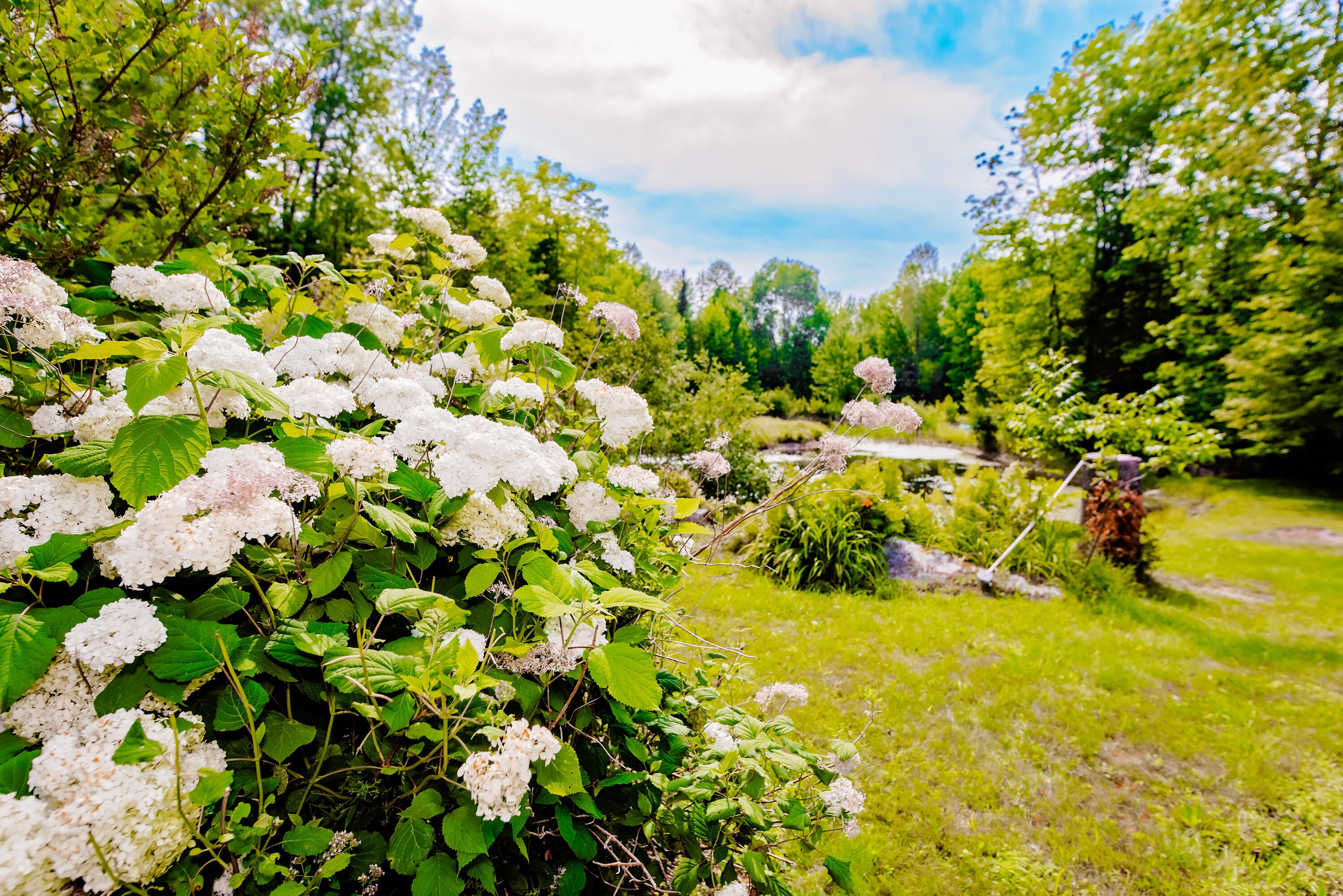 main property photo 59