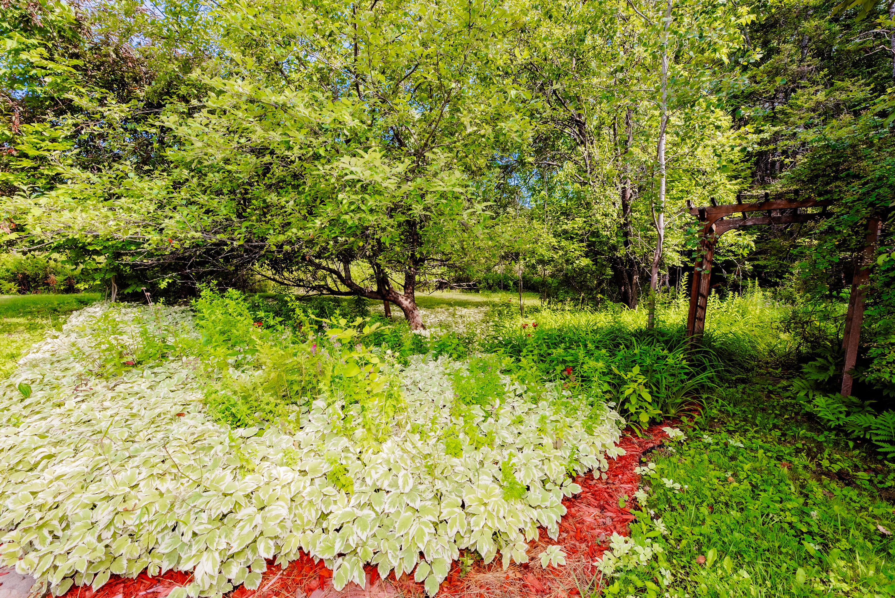 main property photo 60