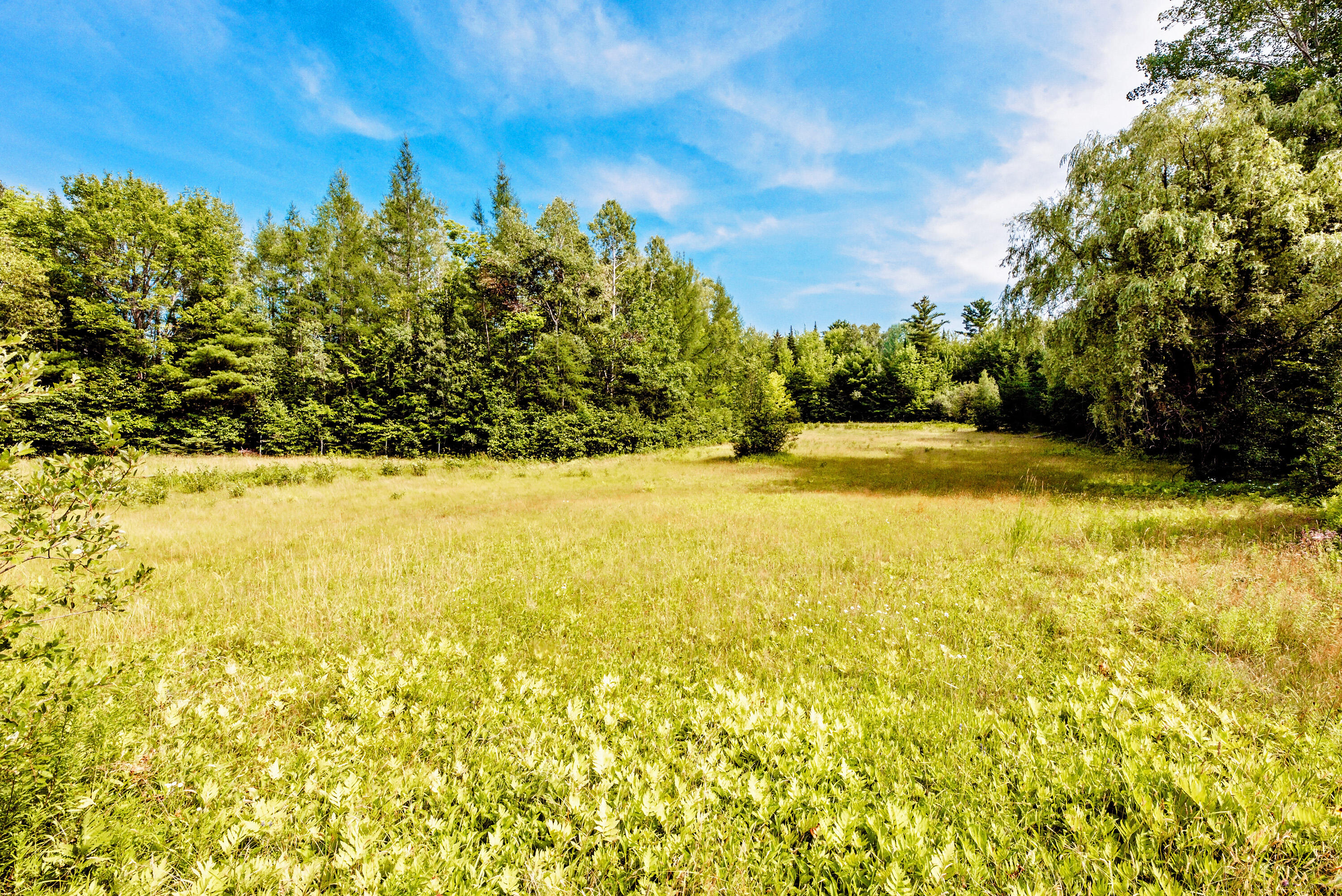 main property photo 69