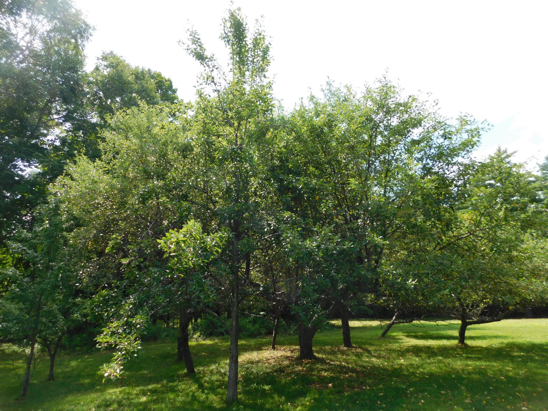 main property photo 25