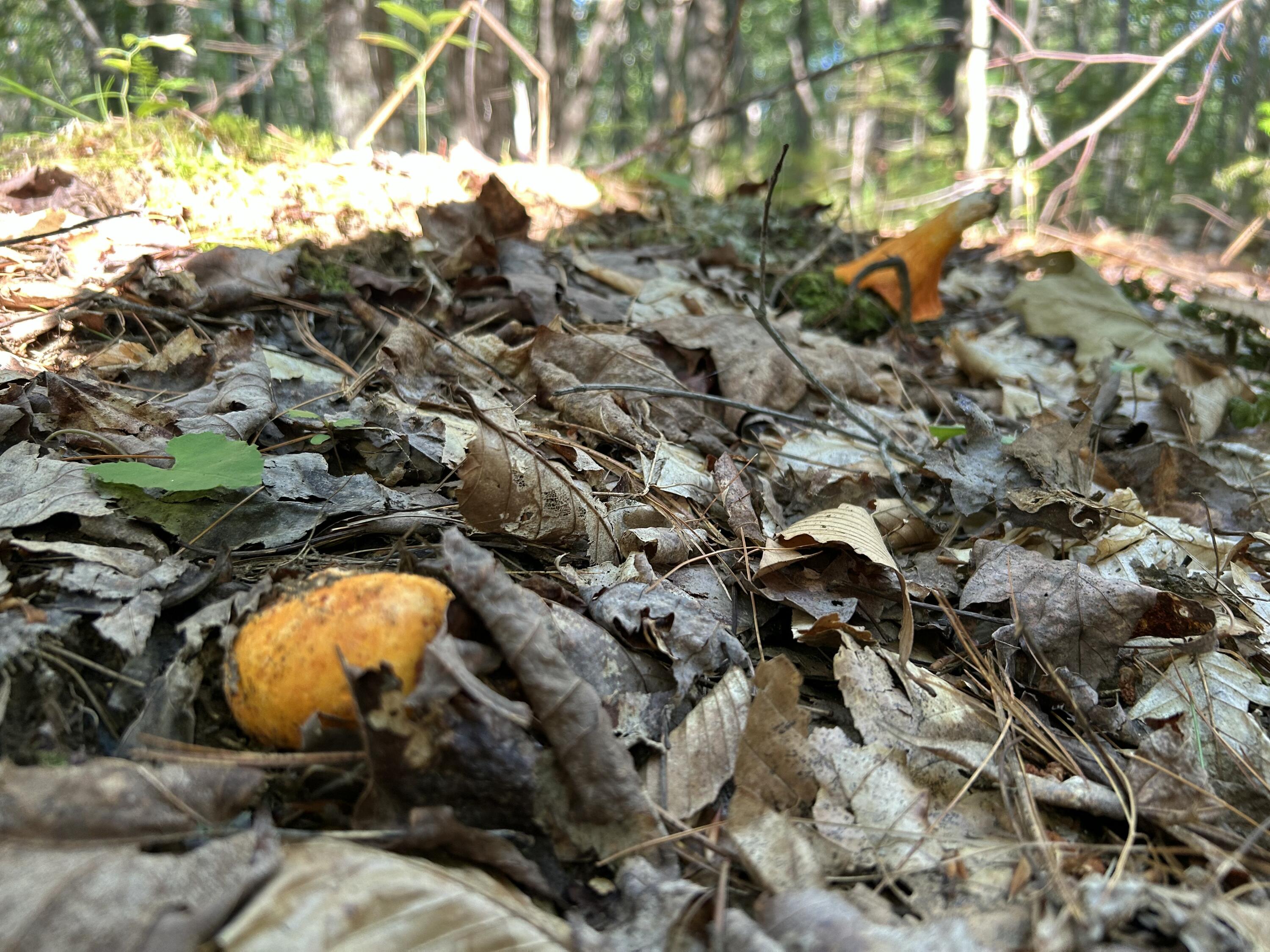main property photo 30