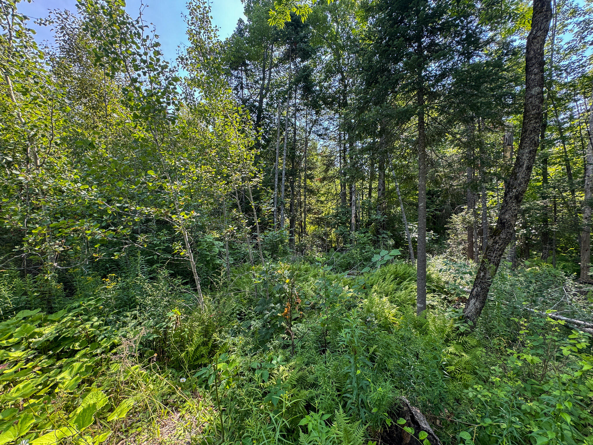 main property photo 12