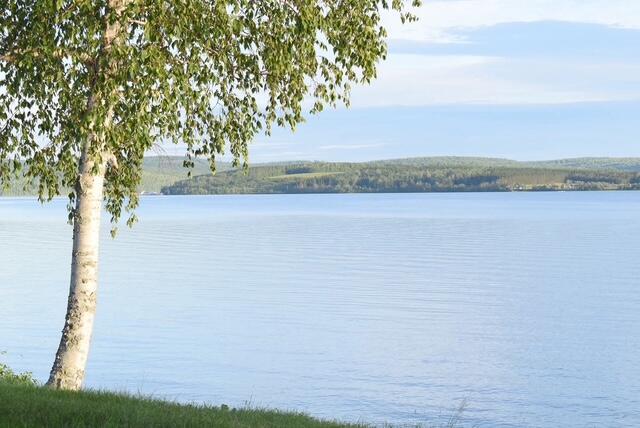 main property photo 56