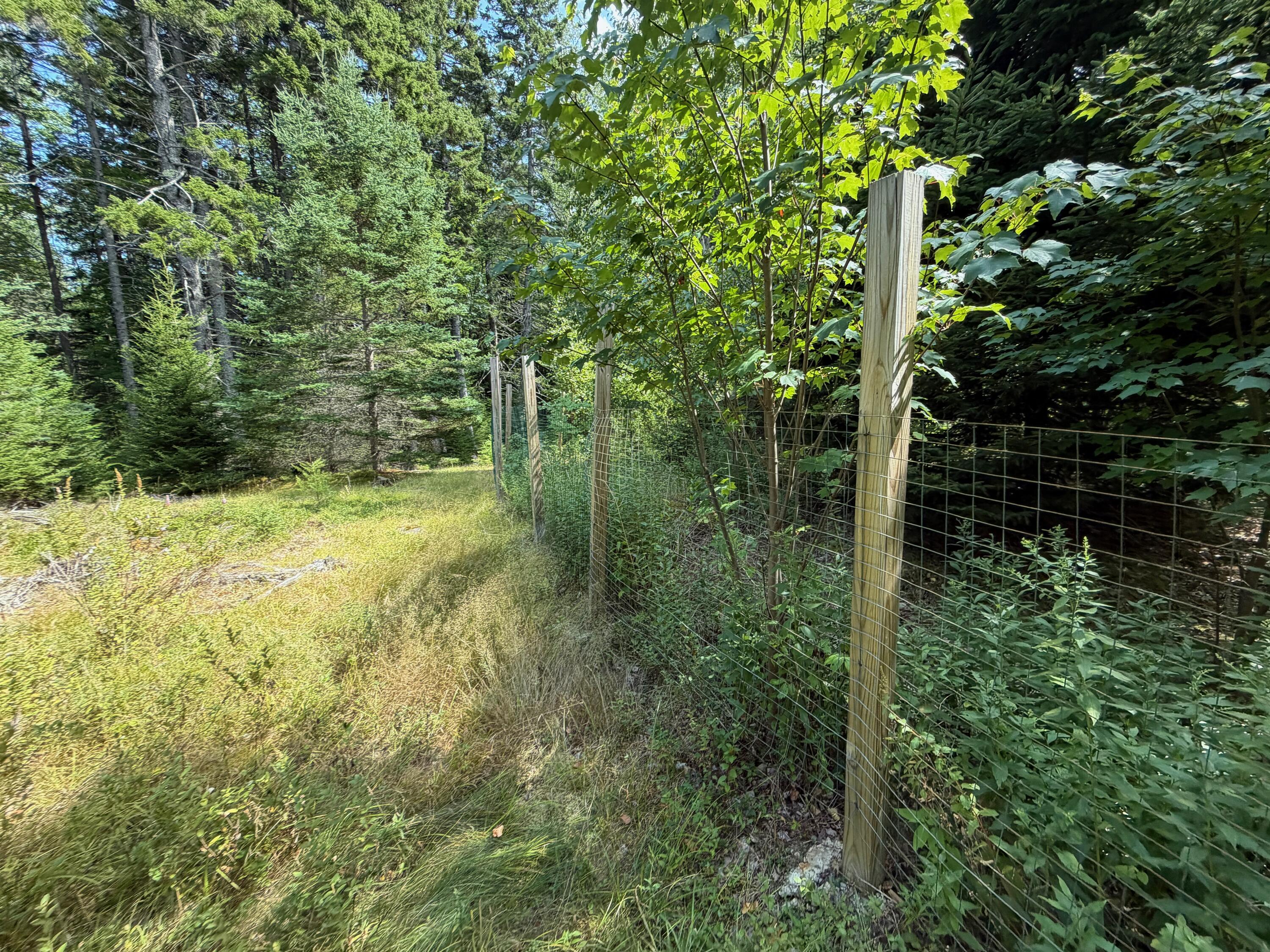 main property photo 56