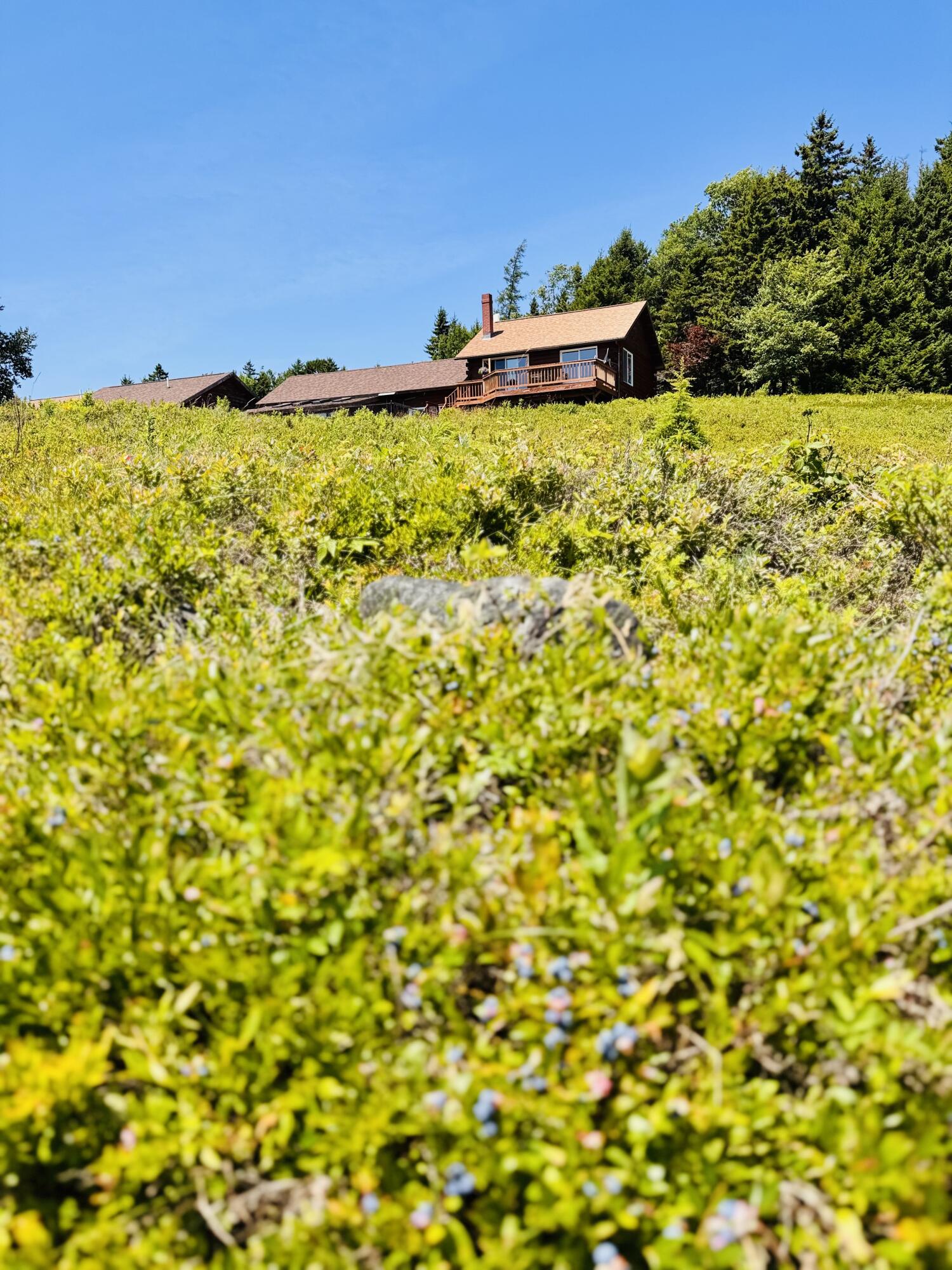 main property photo 157