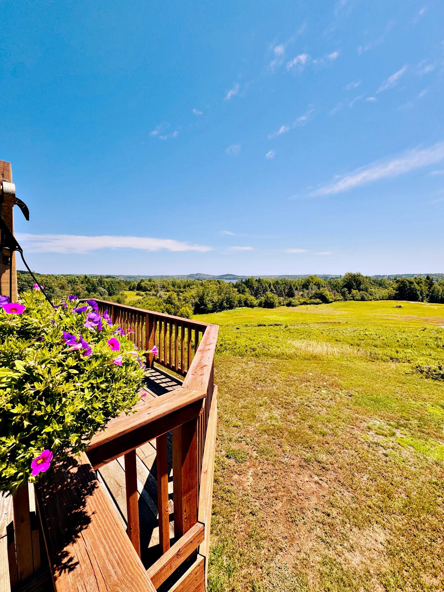 main property photo 79