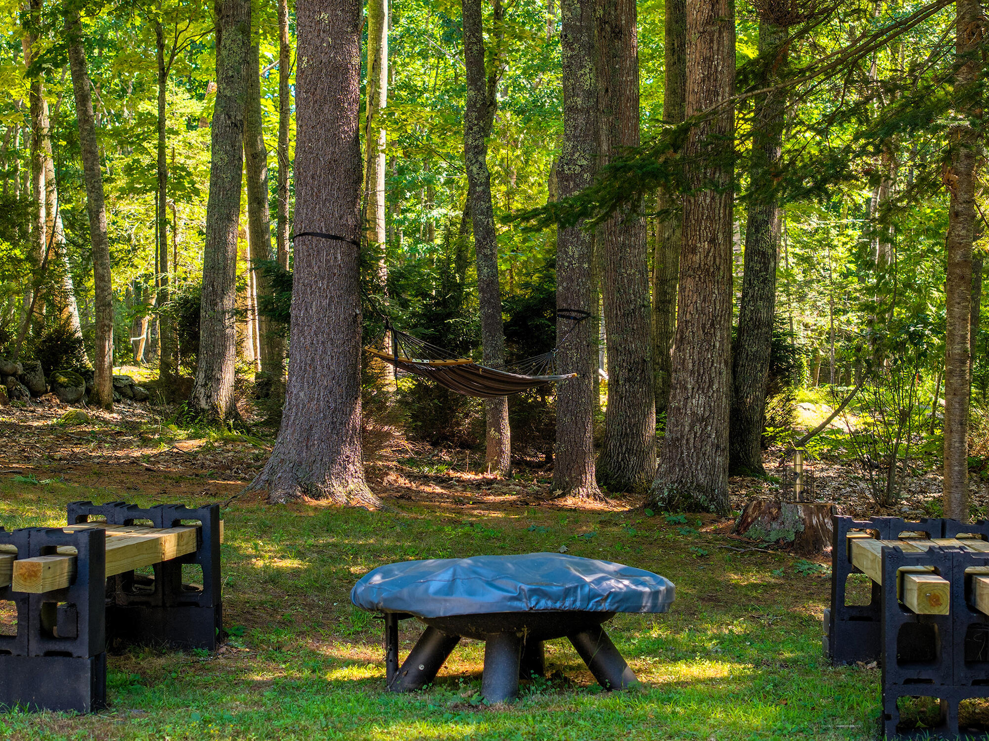 main property photo 51