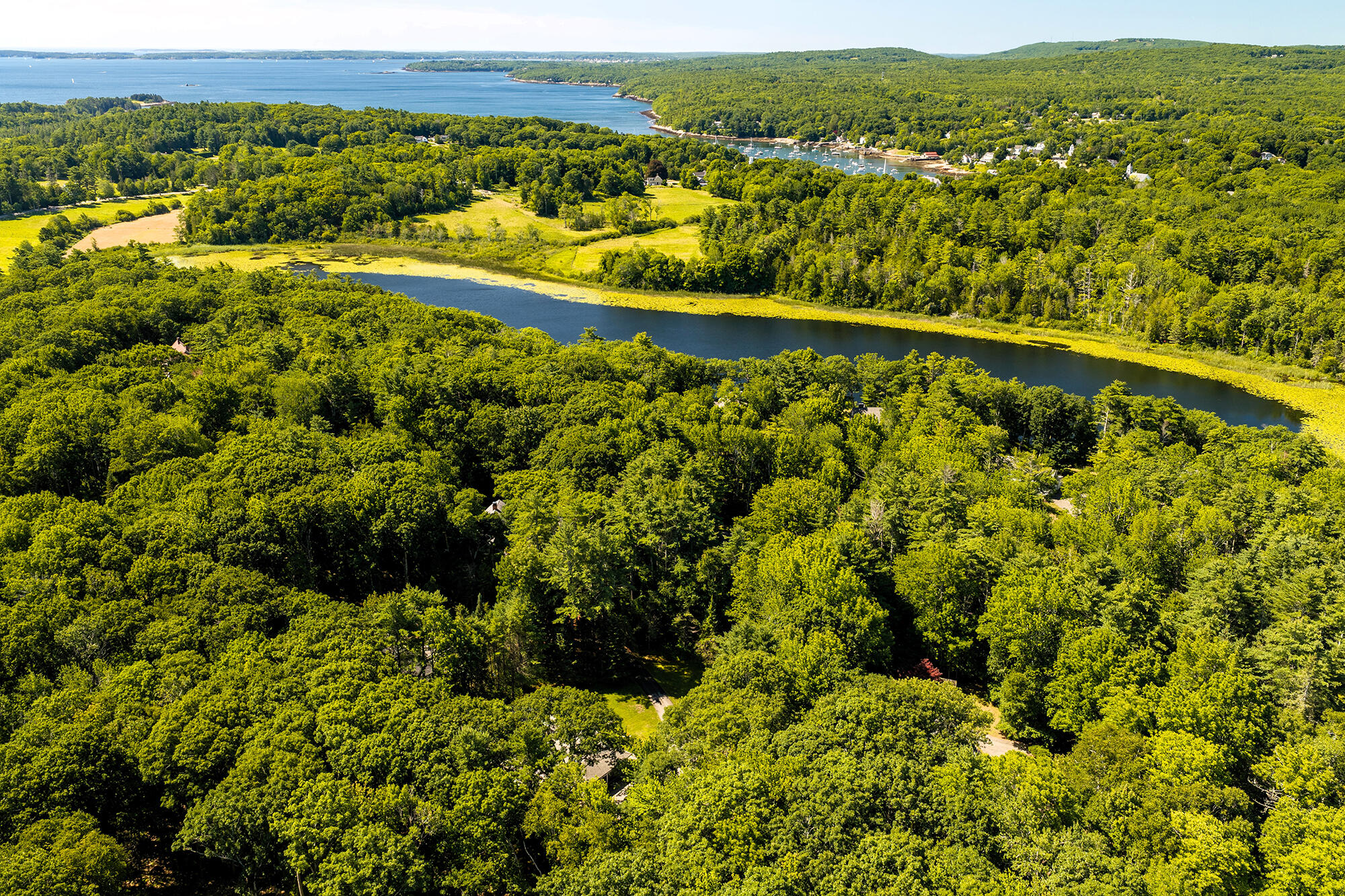 main property photo 60
