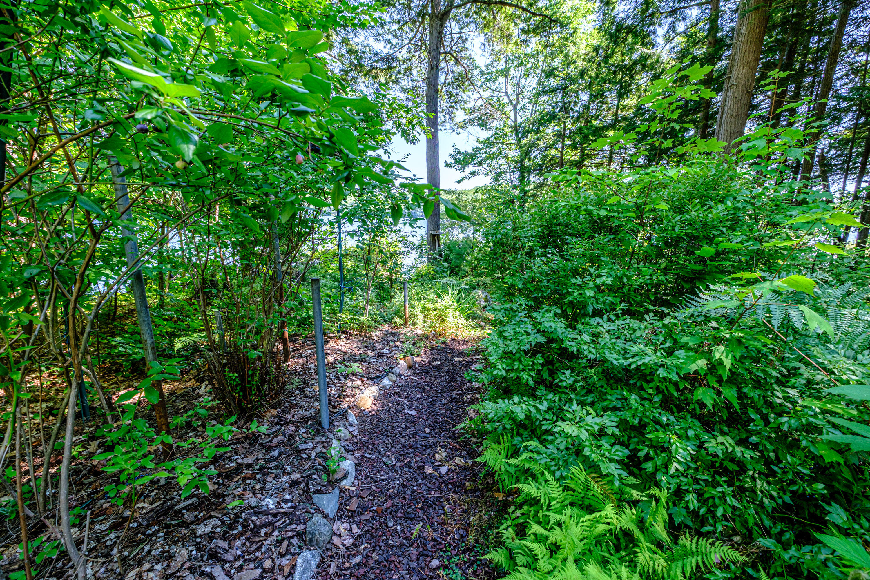 main property photo 80