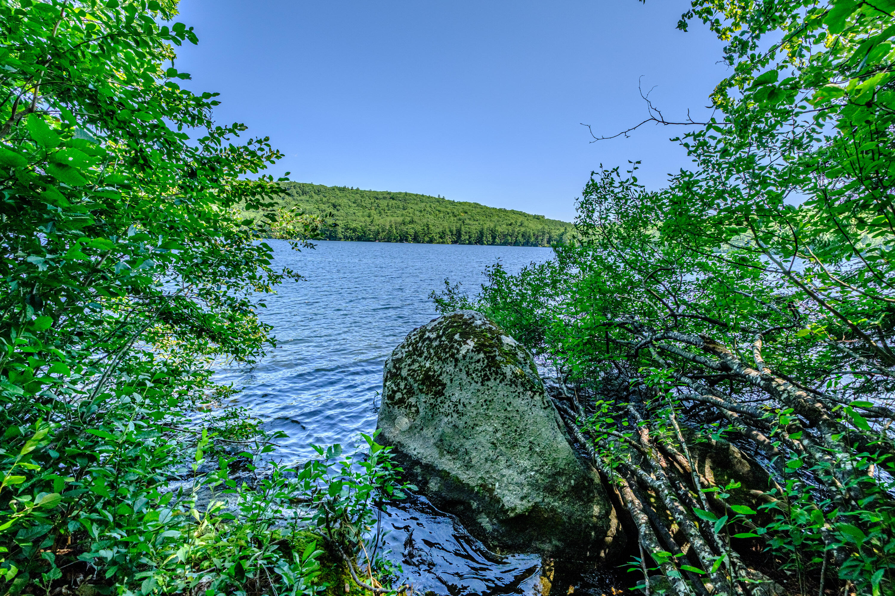 main property photo 86