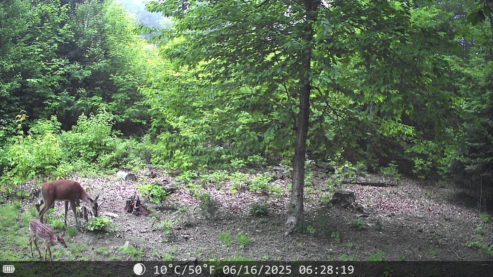 main property photo 61
