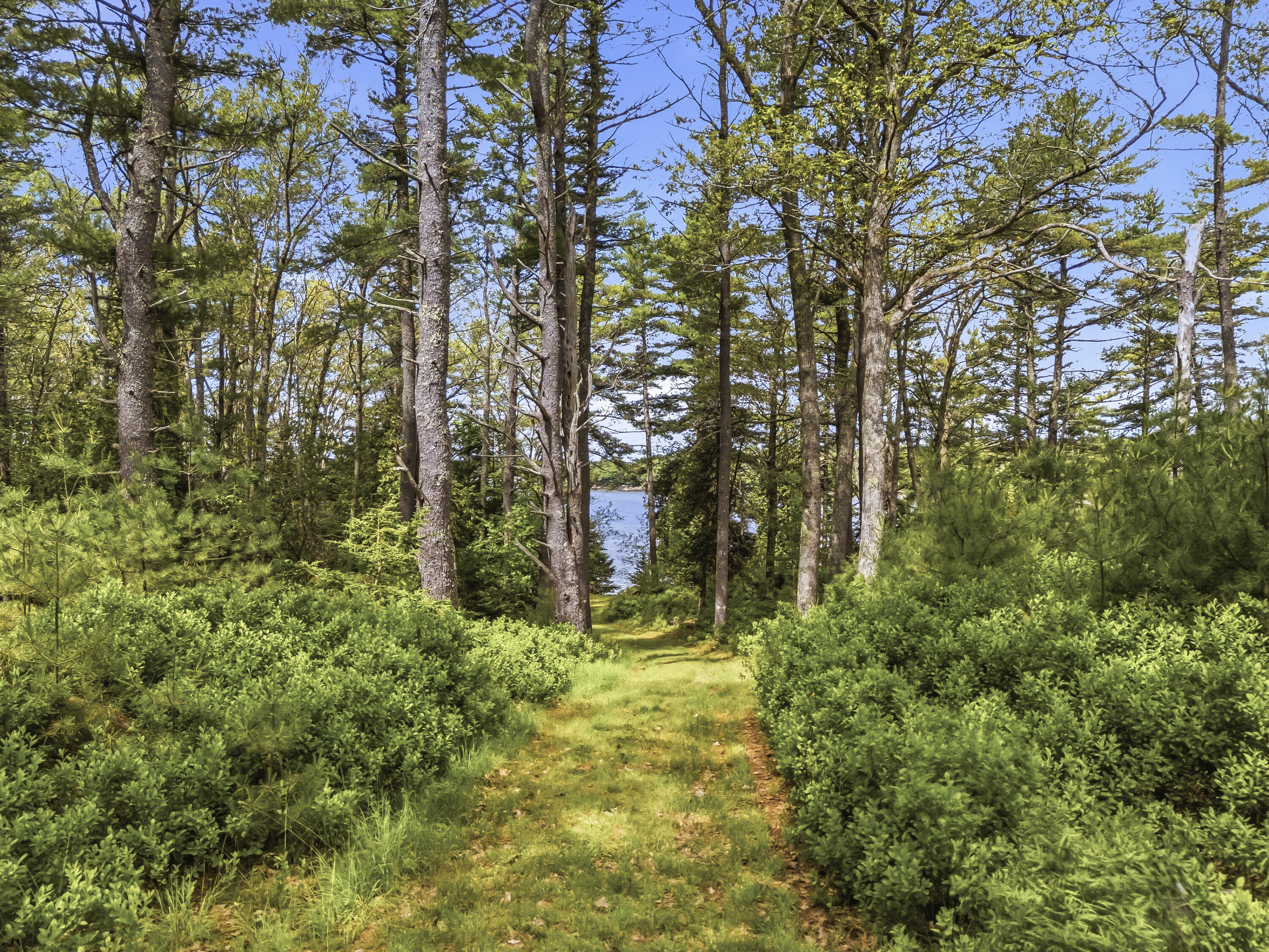 main property photo 65