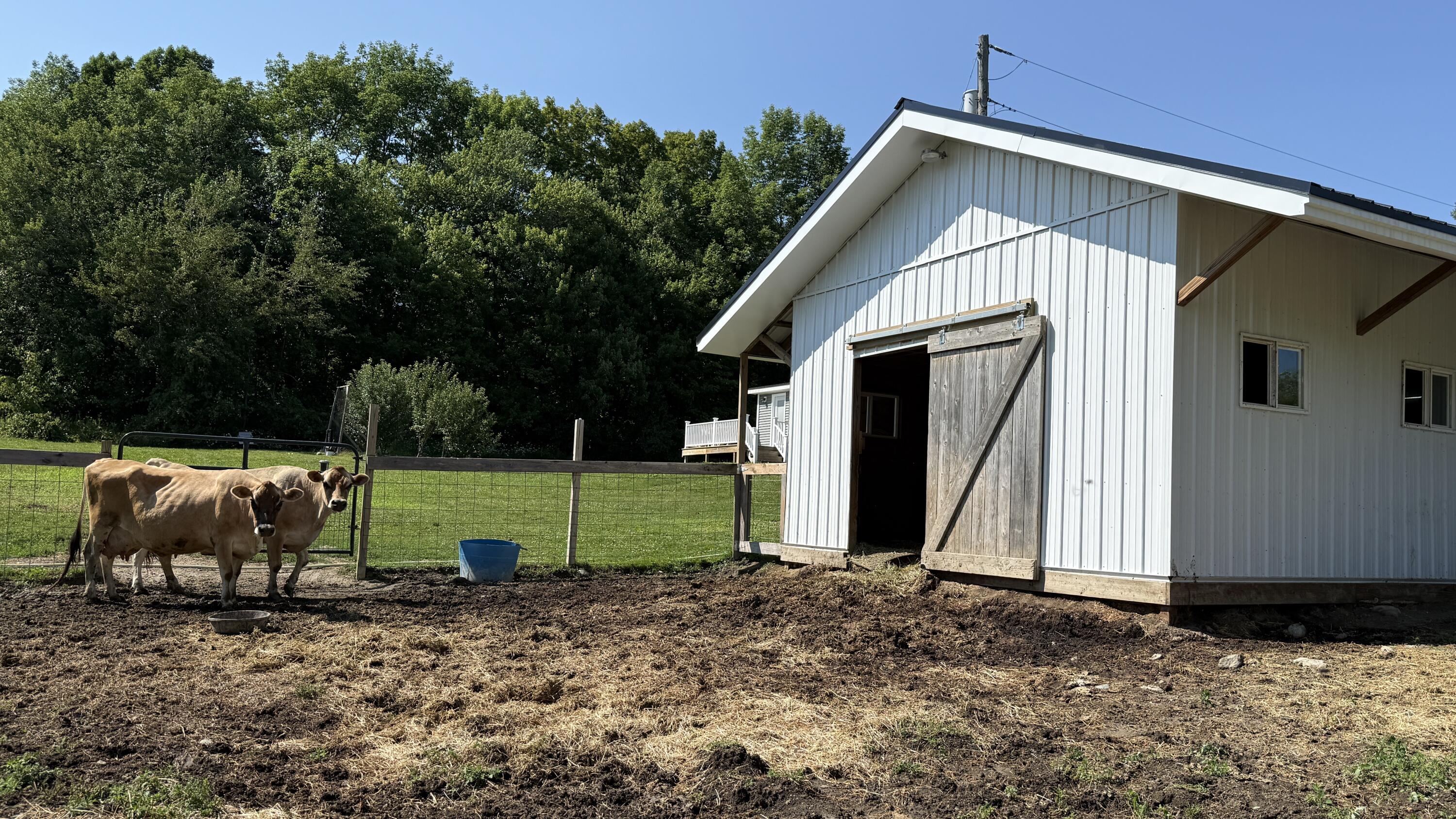 main property photo 26