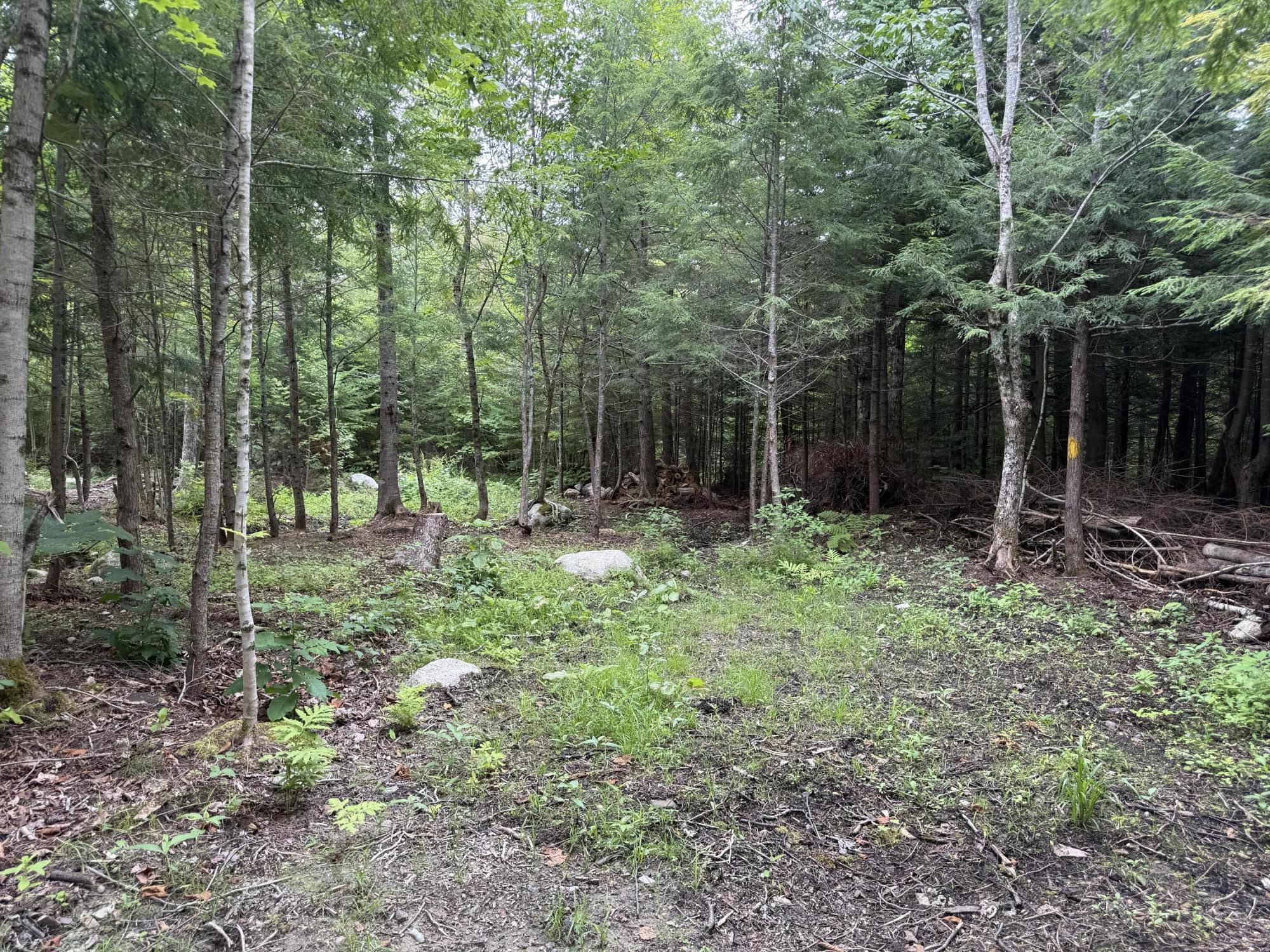 main property photo 28