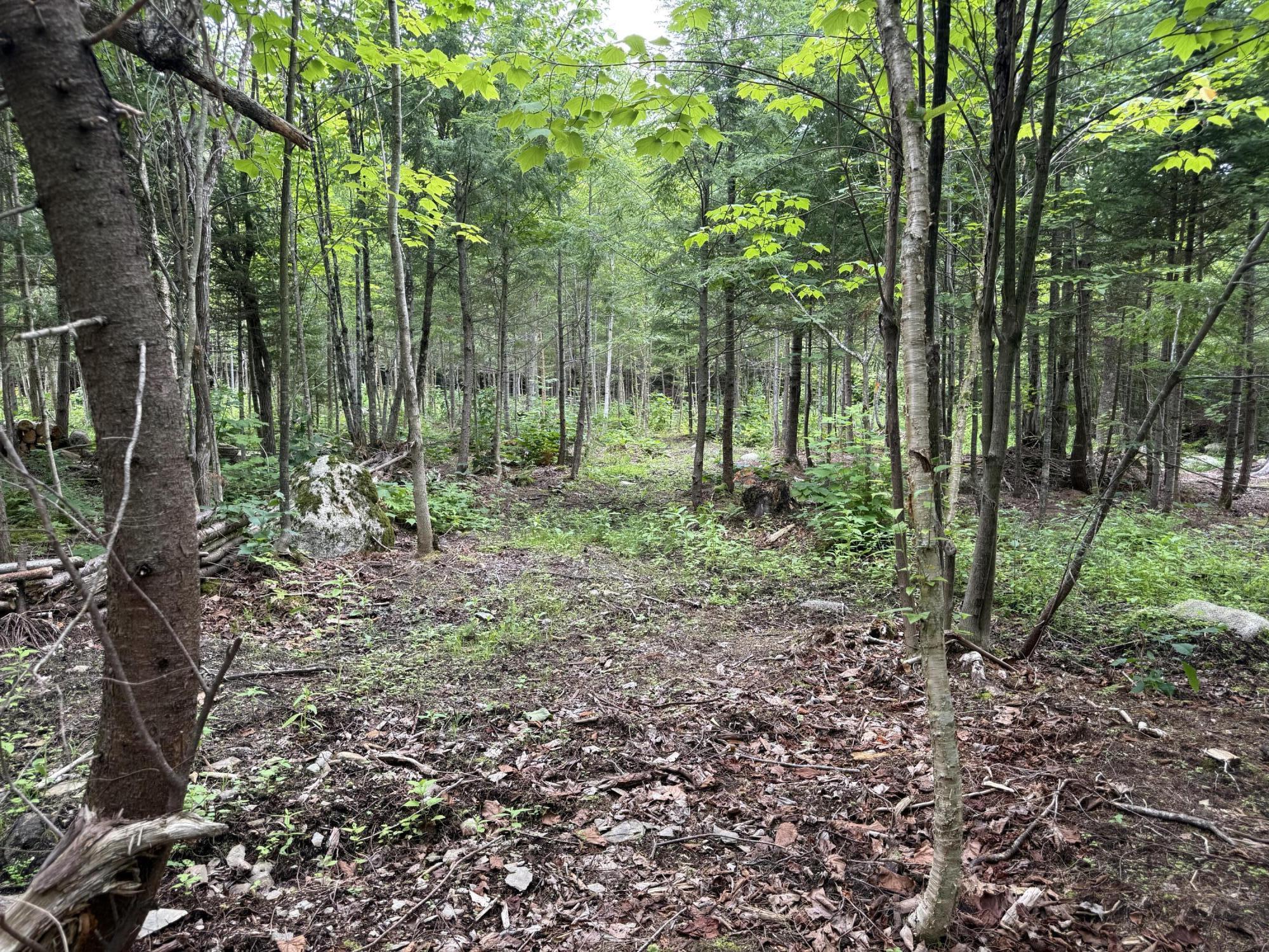 main property photo 30