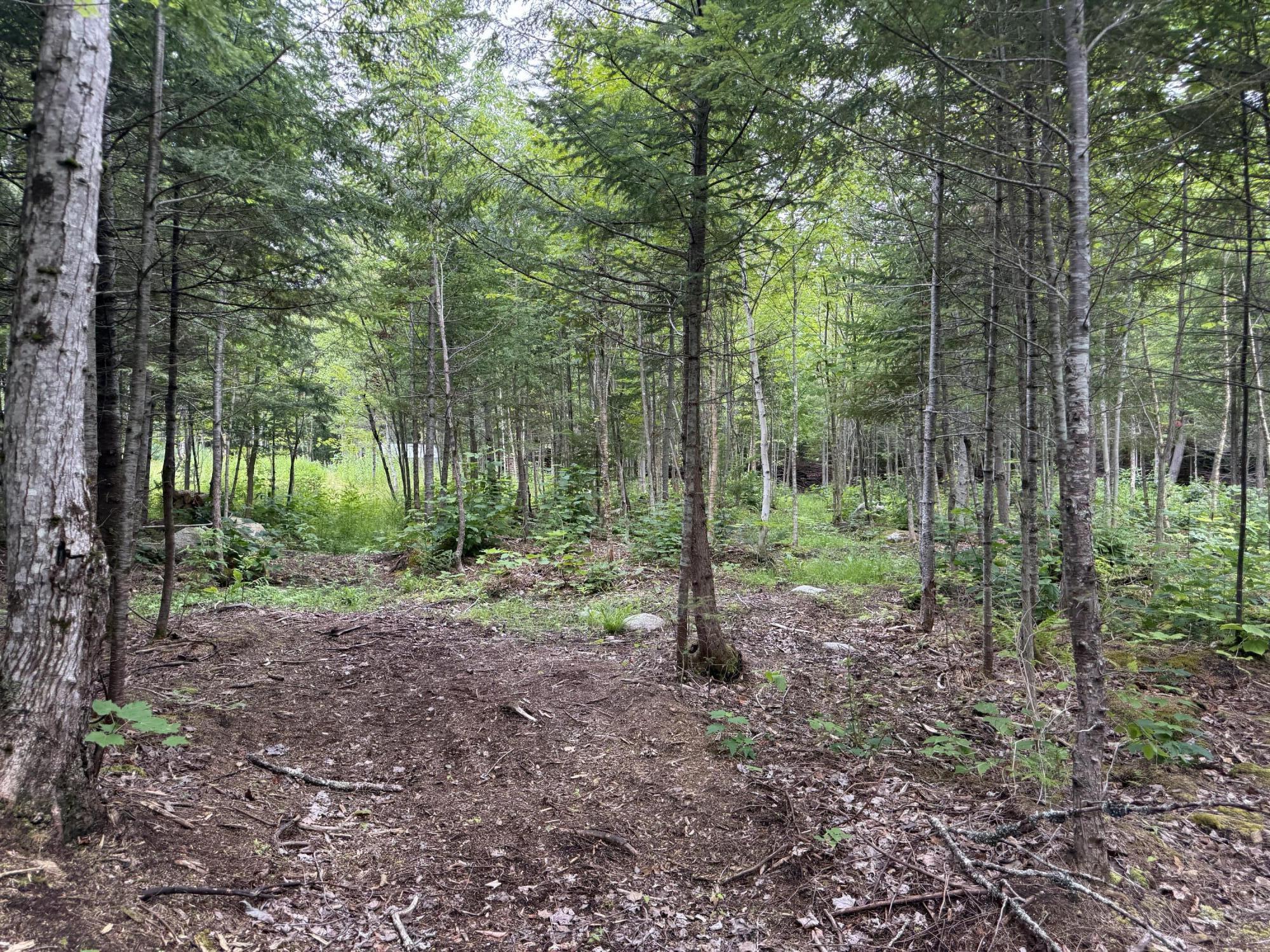 main property photo 34