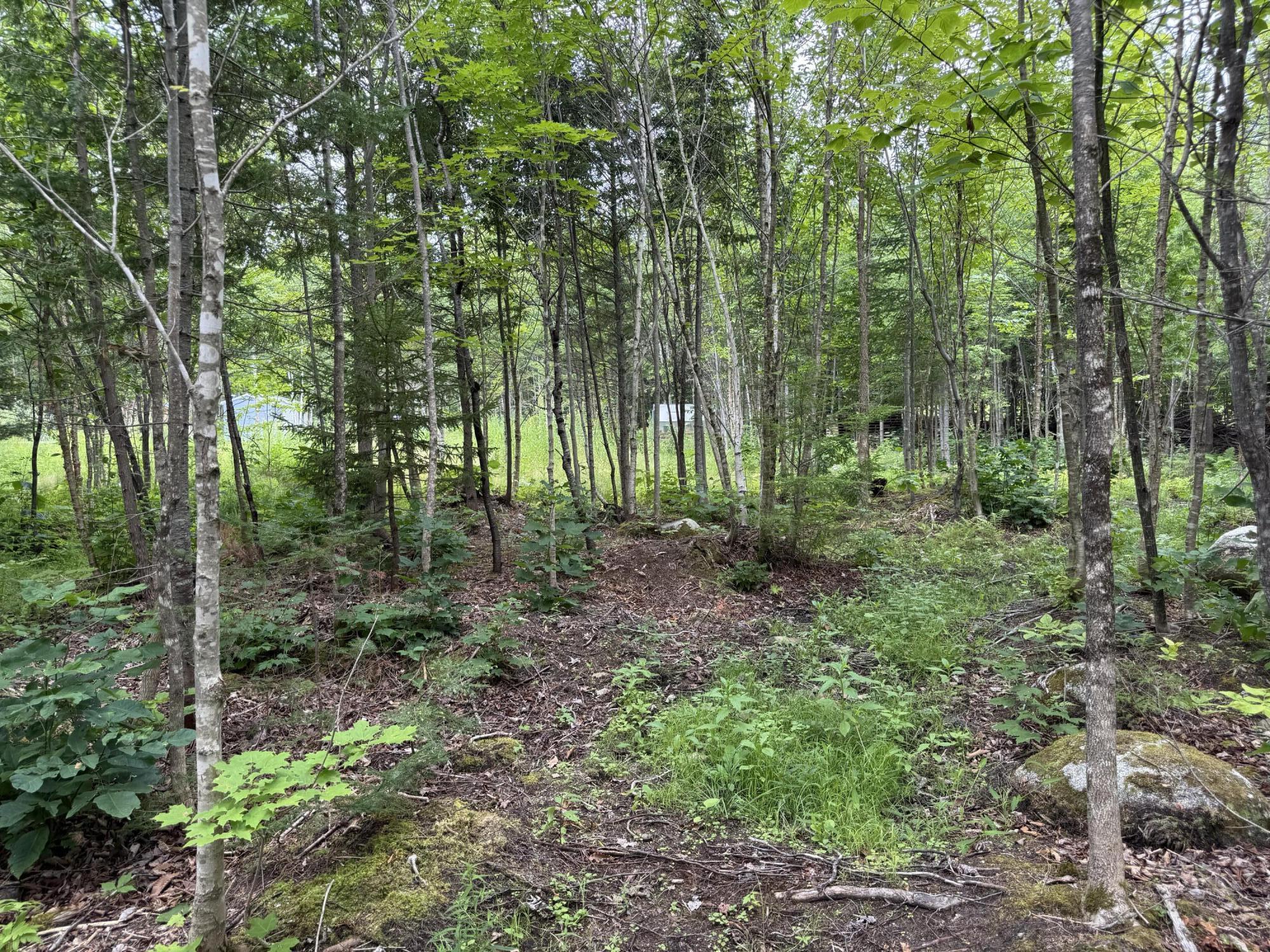 main property photo 38
