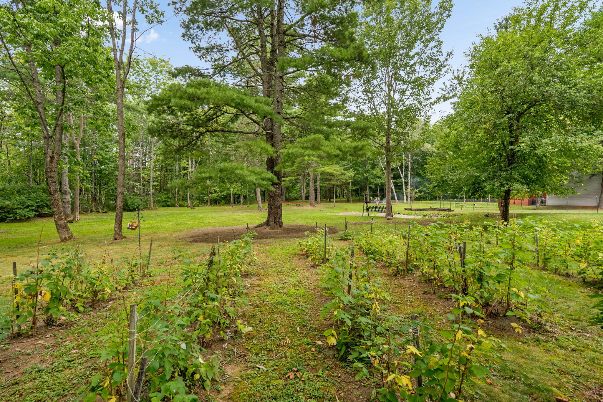 main property photo 80