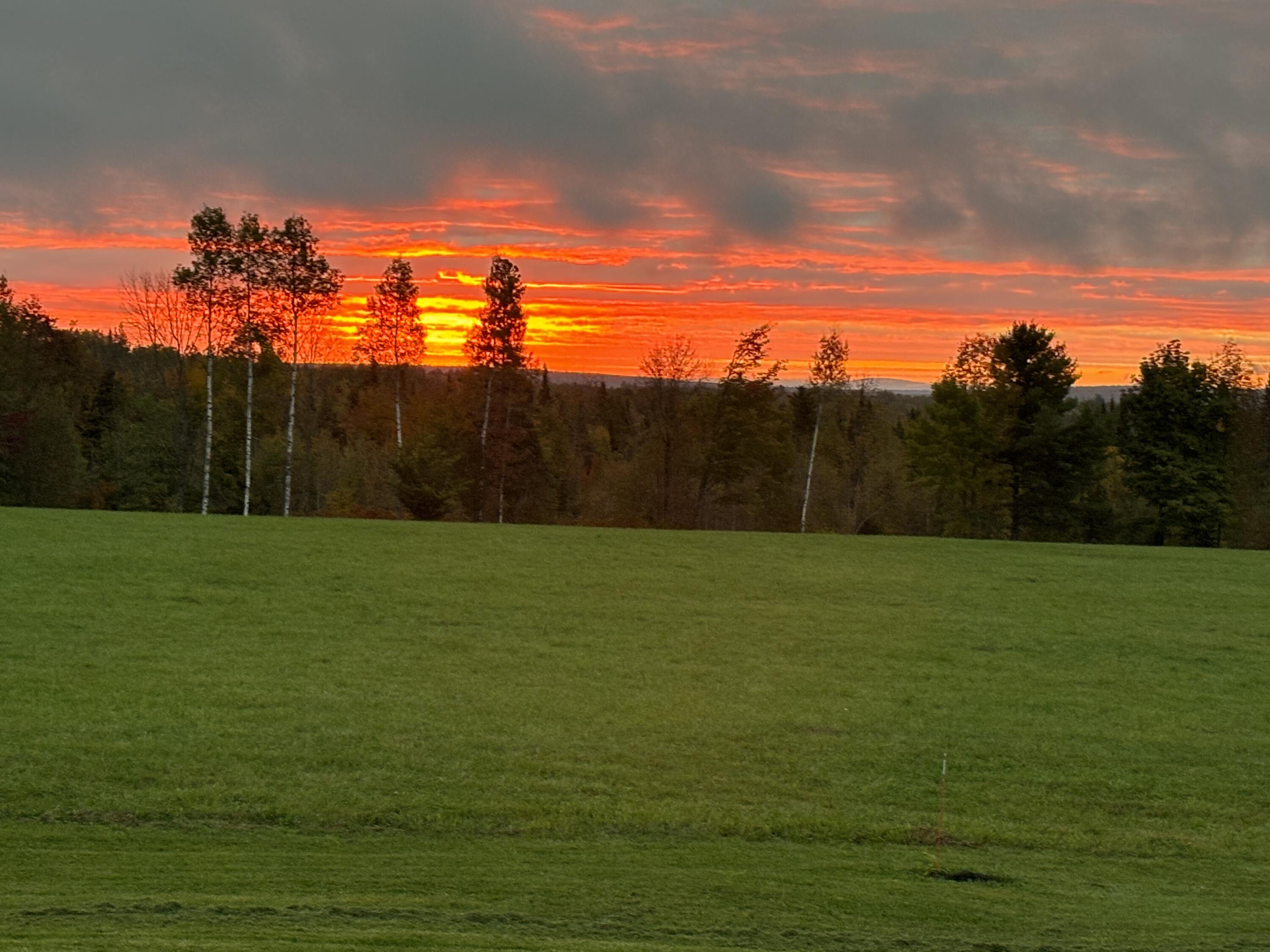 main property photo 50