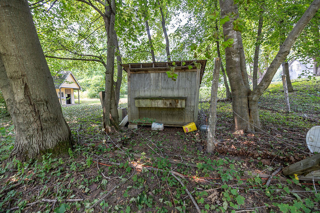main property photo 54