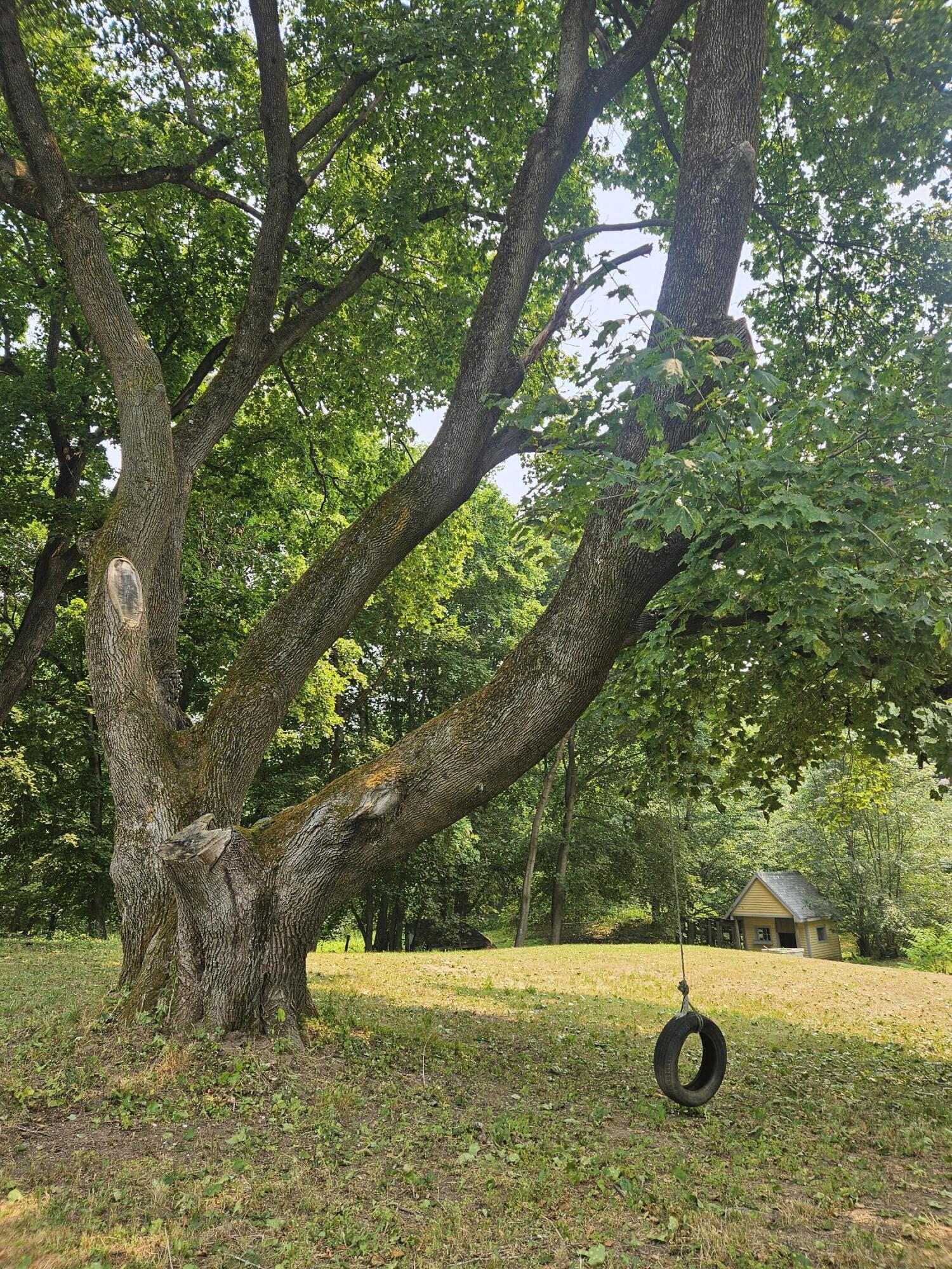 main property photo 58