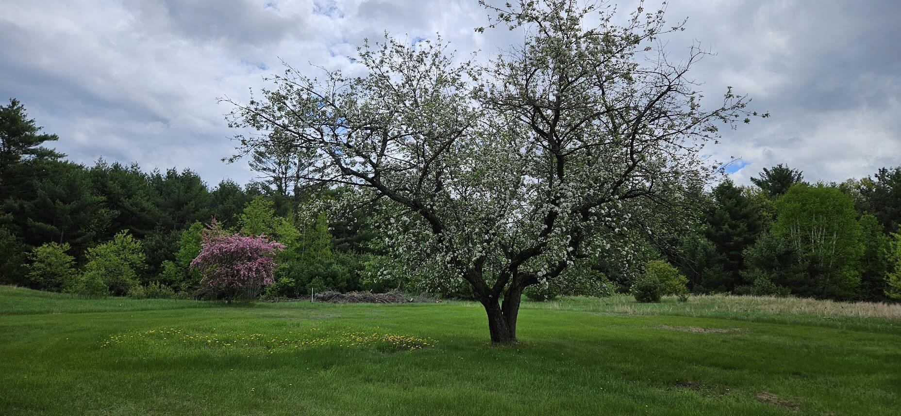 main property photo 45