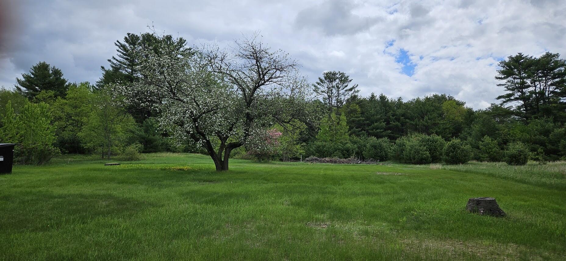 main property photo 47