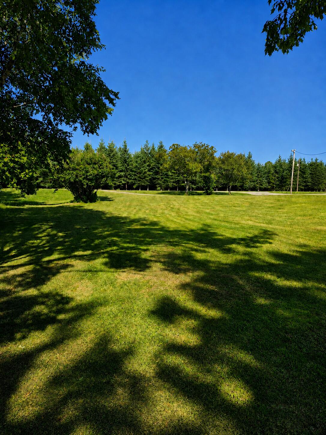 main property photo 8