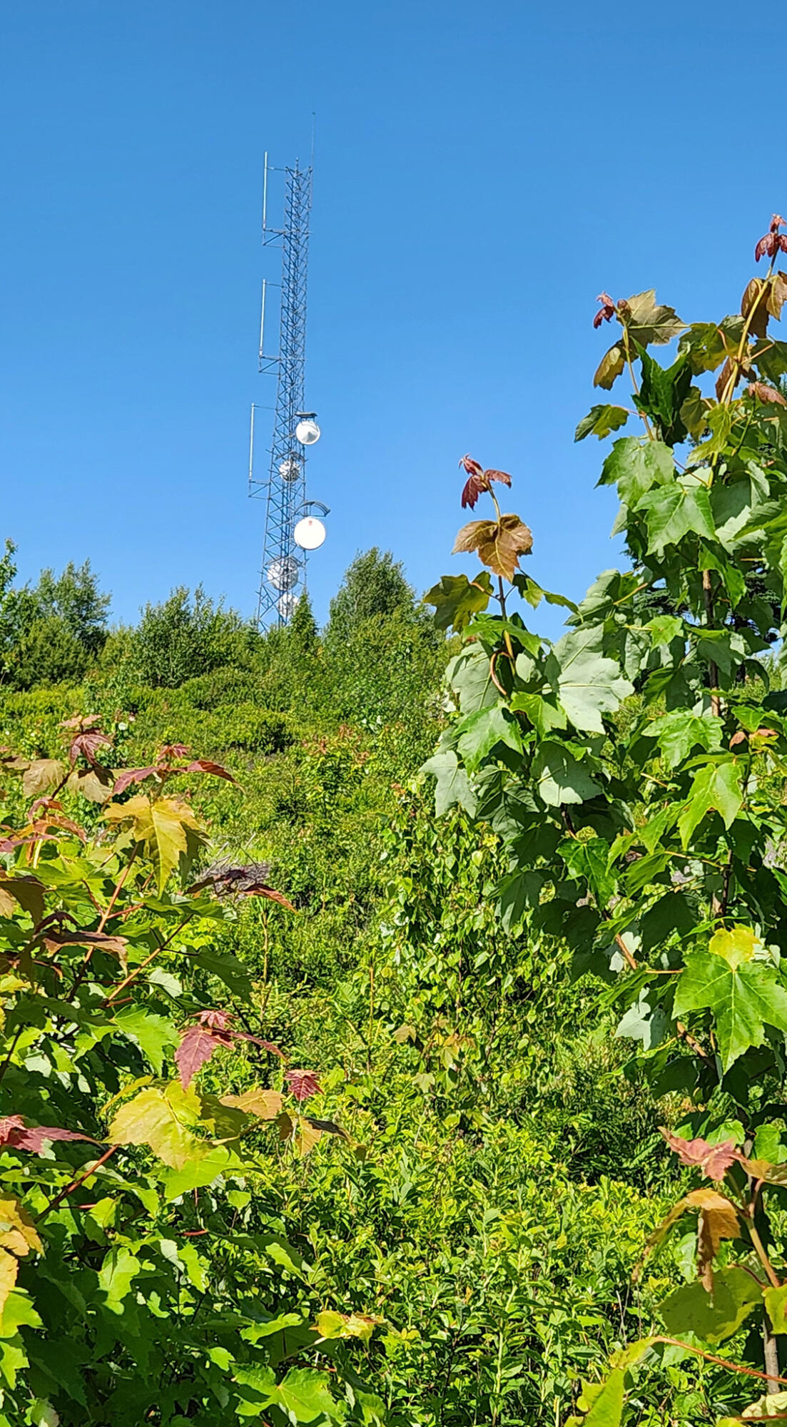 main property photo 38